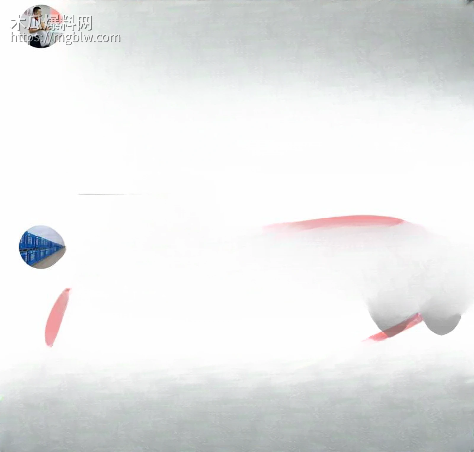 南宁邕江桥快手直播跳桥惨案 5