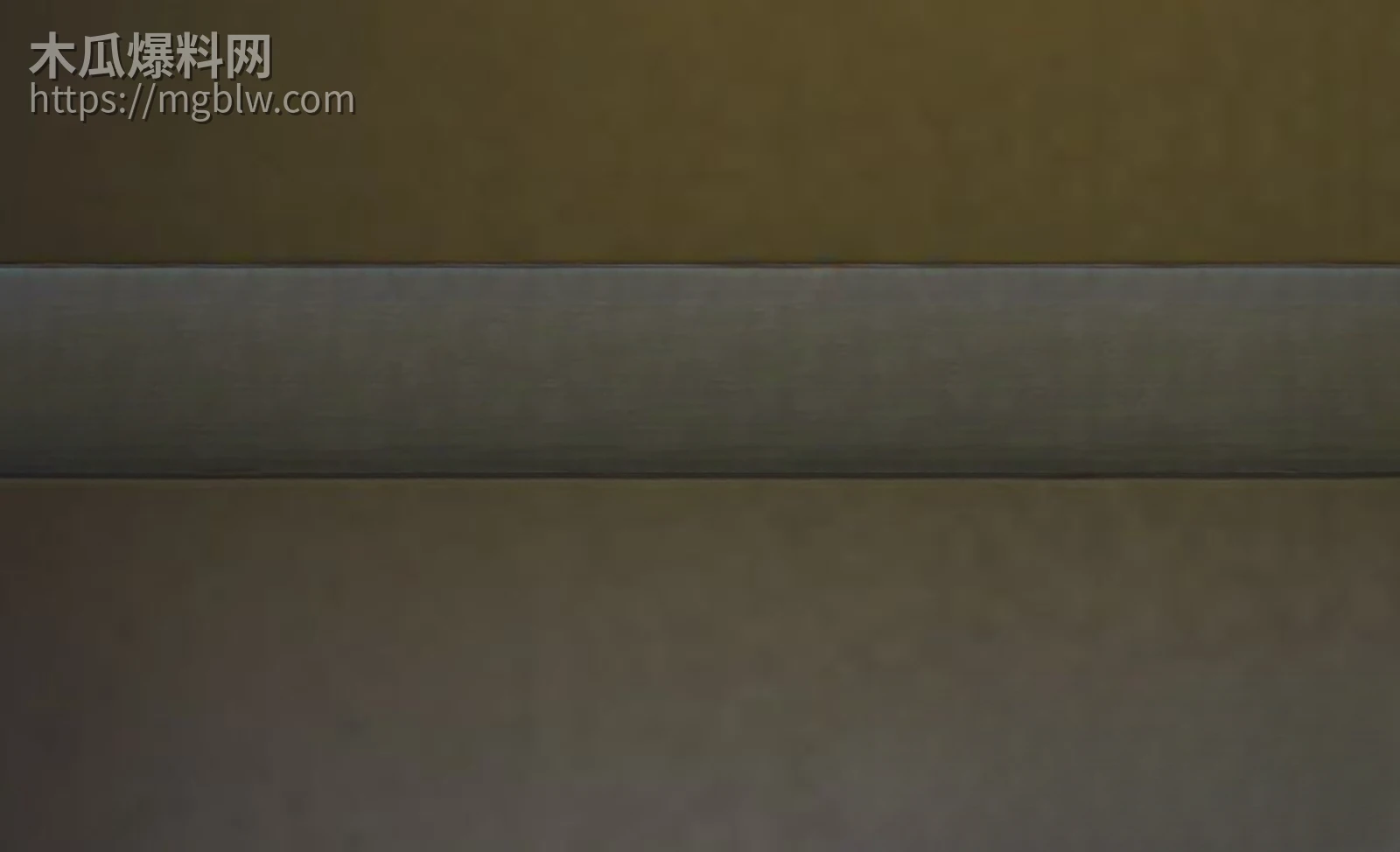 柬埔寨劫囚事件黑幕大曝光 12