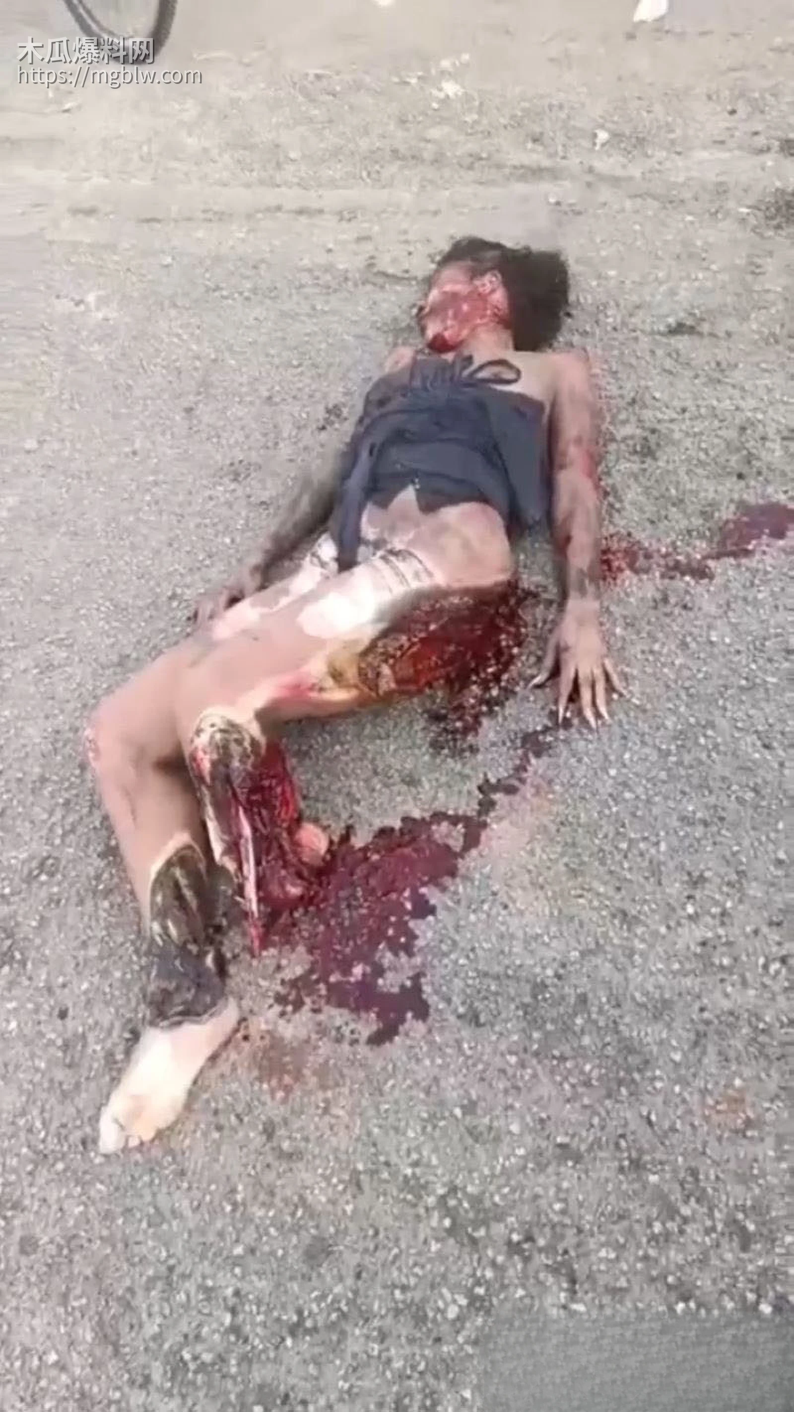 巴西圣保罗惊天血案 4