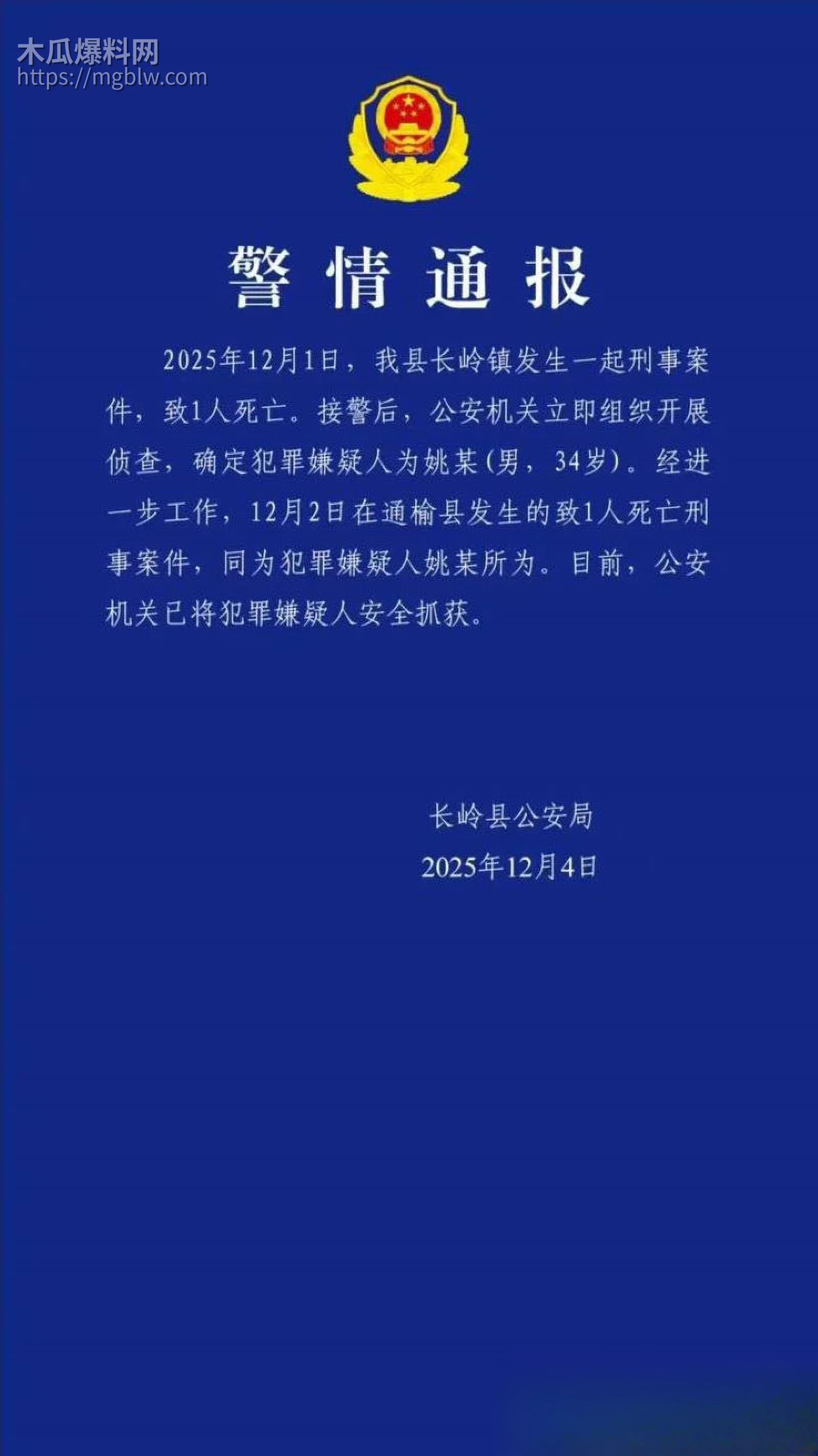 吉林34岁姚远持刀狂屠9人 1