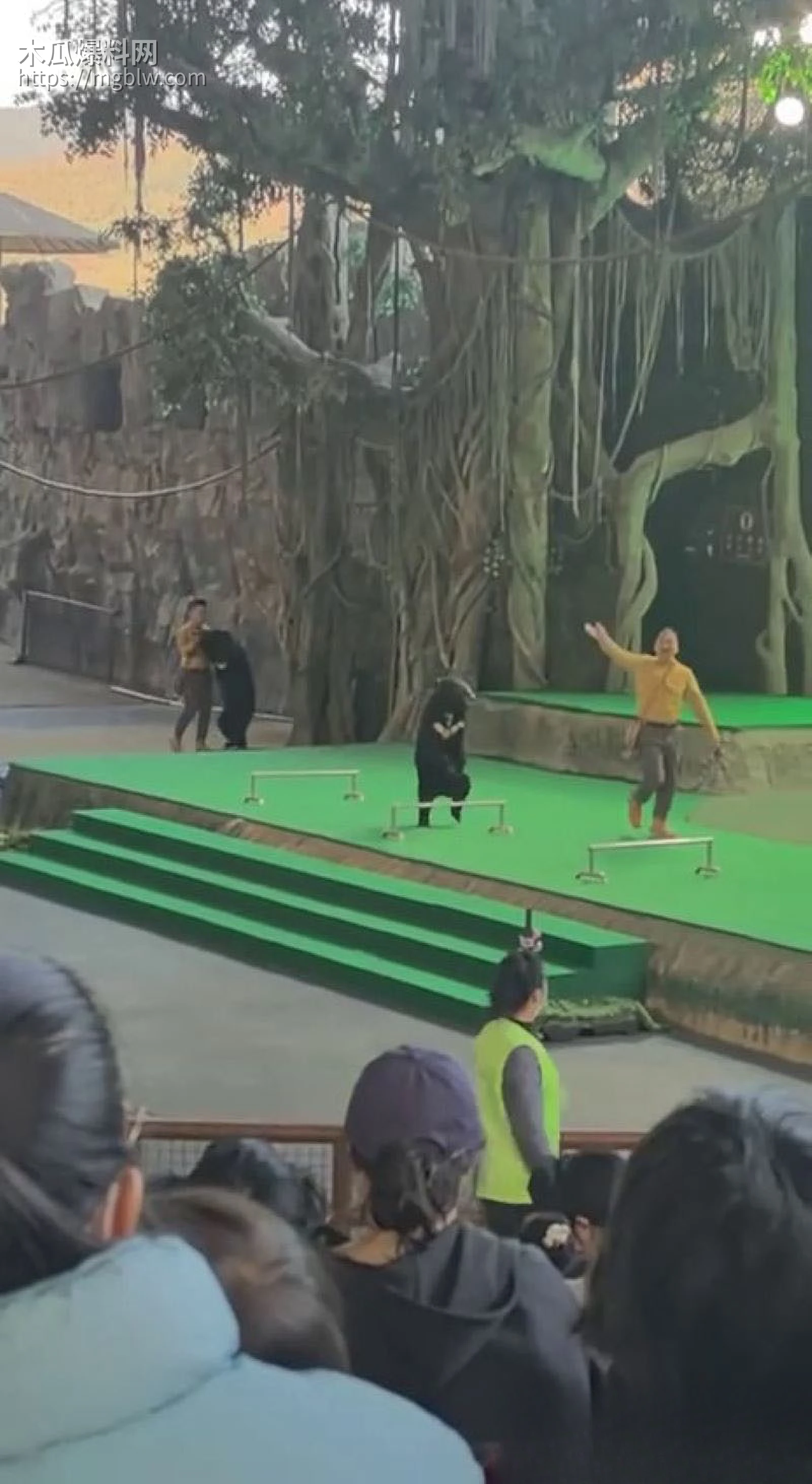 杭州野生动物园惊魂 1