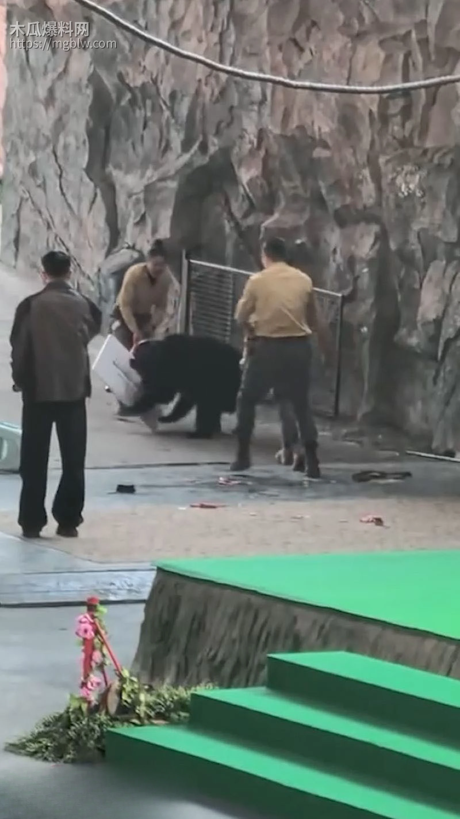 杭州野生动物园惊魂 3