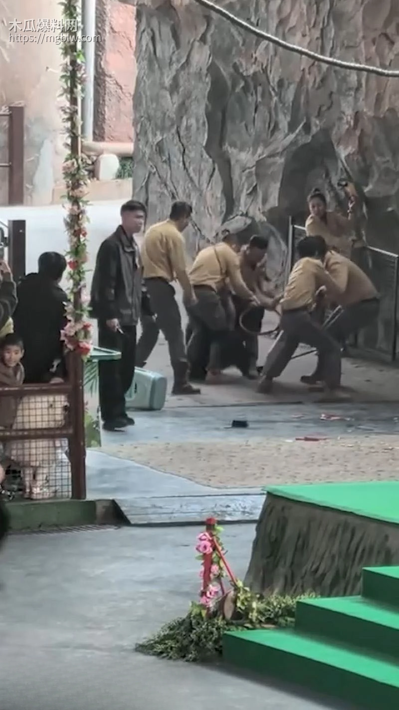 杭州野生动物园惊魂 4