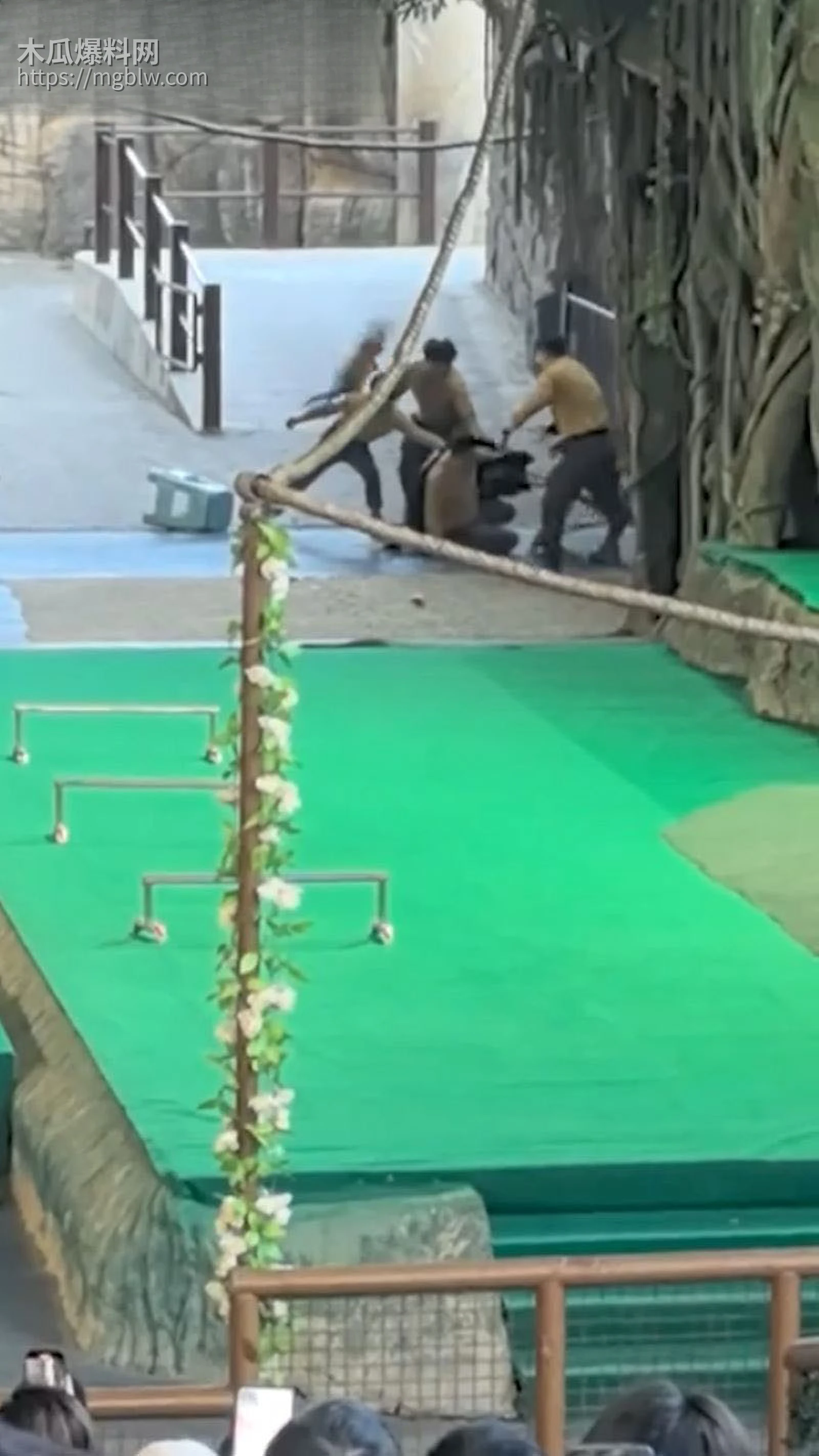 杭州野生动物园惊魂 5