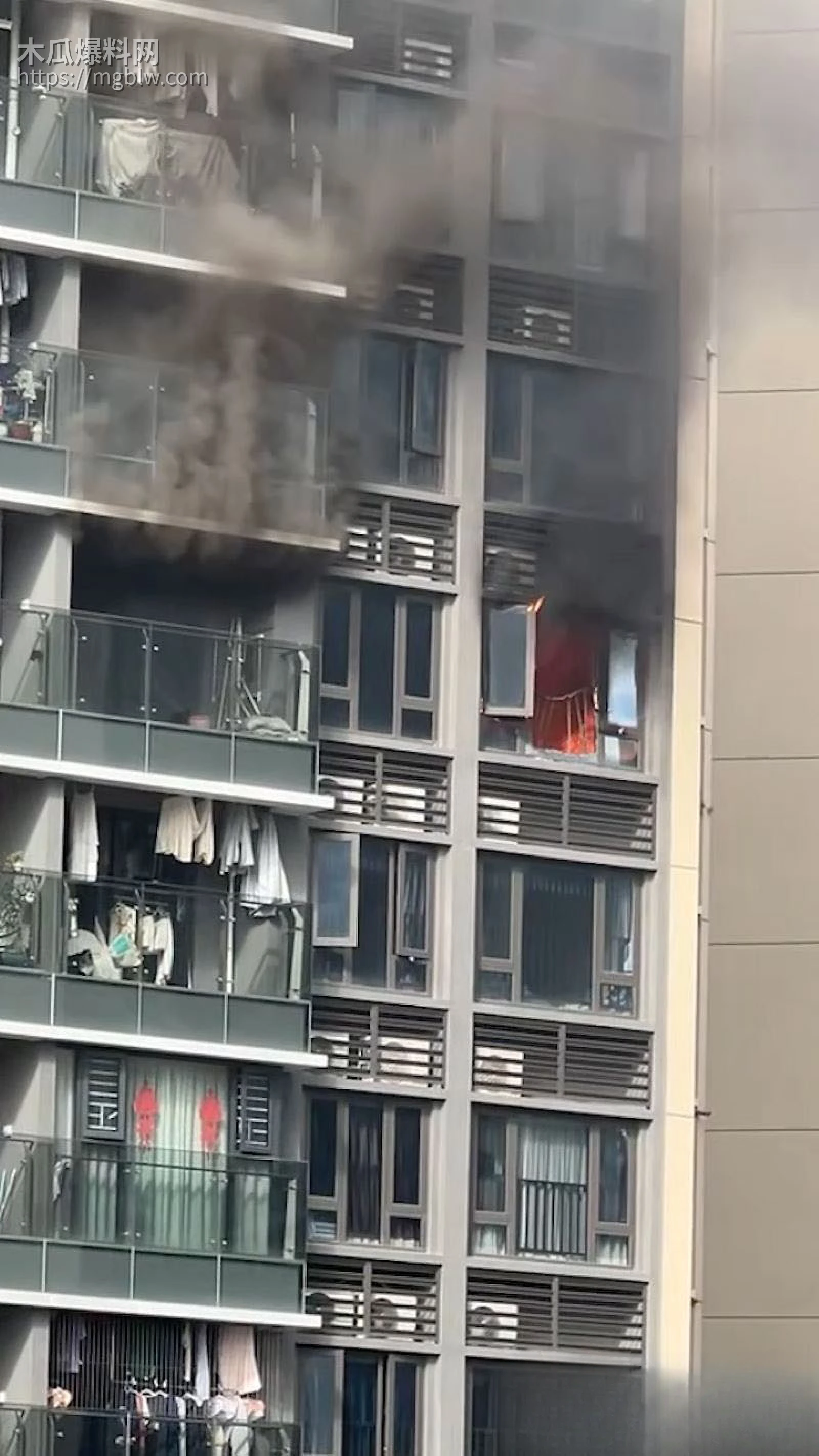 广东珠海香洲区绿景玺悦湾小区业主酒后纵火烧房子 1