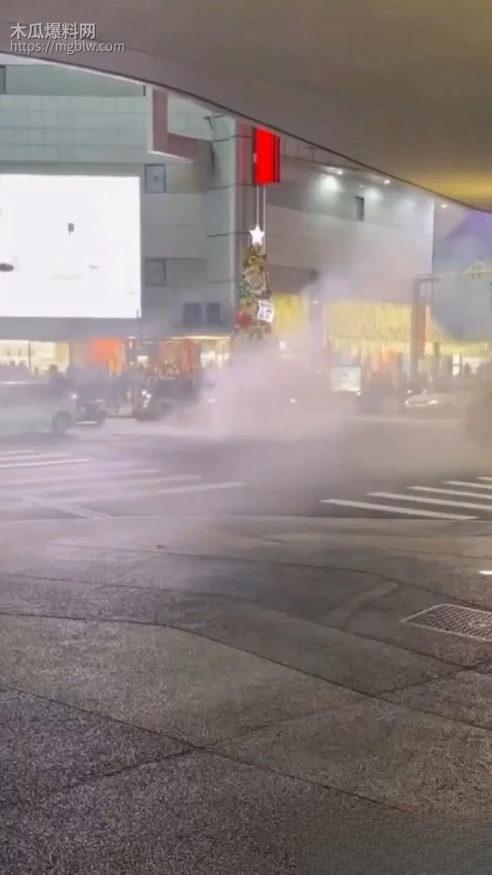 台北捷运27岁通缉犯张文投烟雾弹随机砍人 1