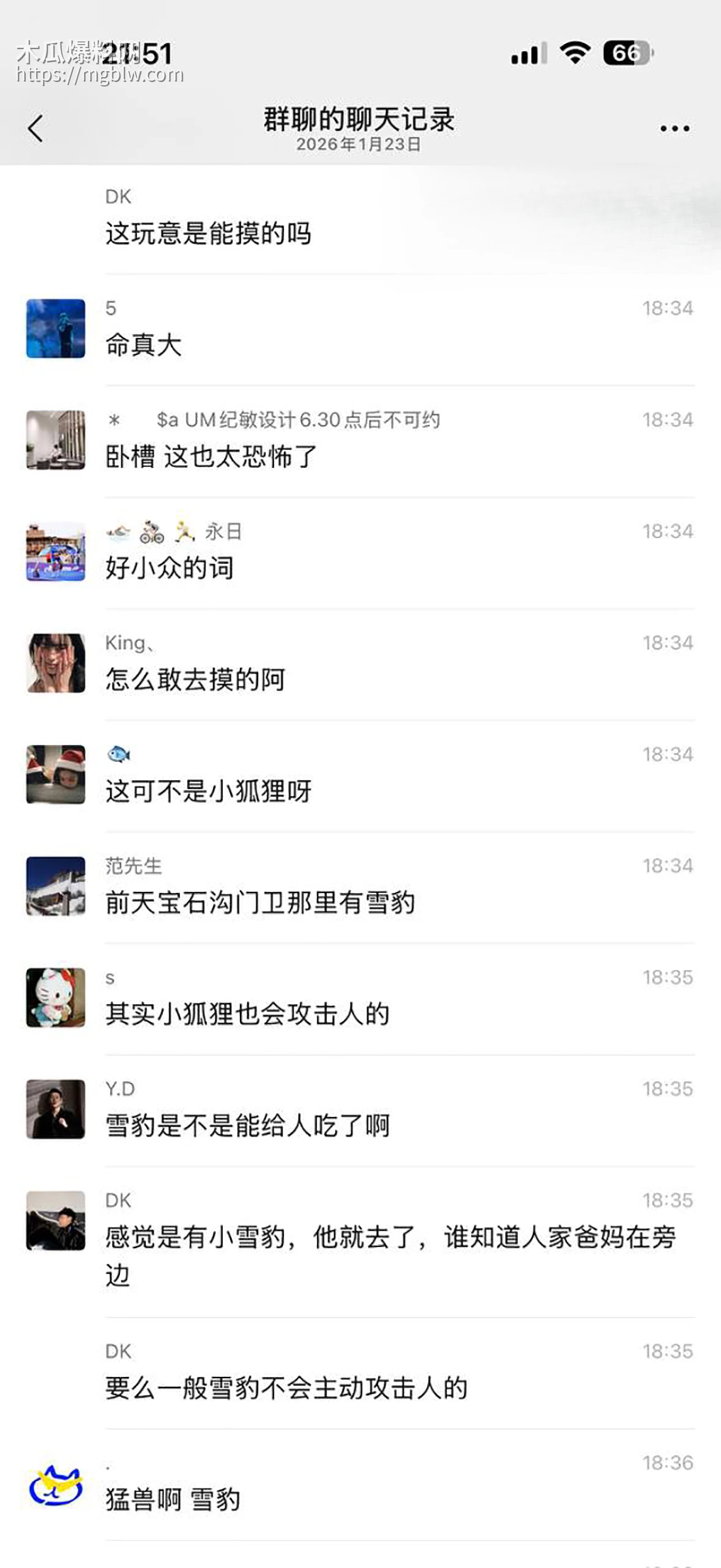 可可托海雪豹咬人视频曝光 11 拷贝