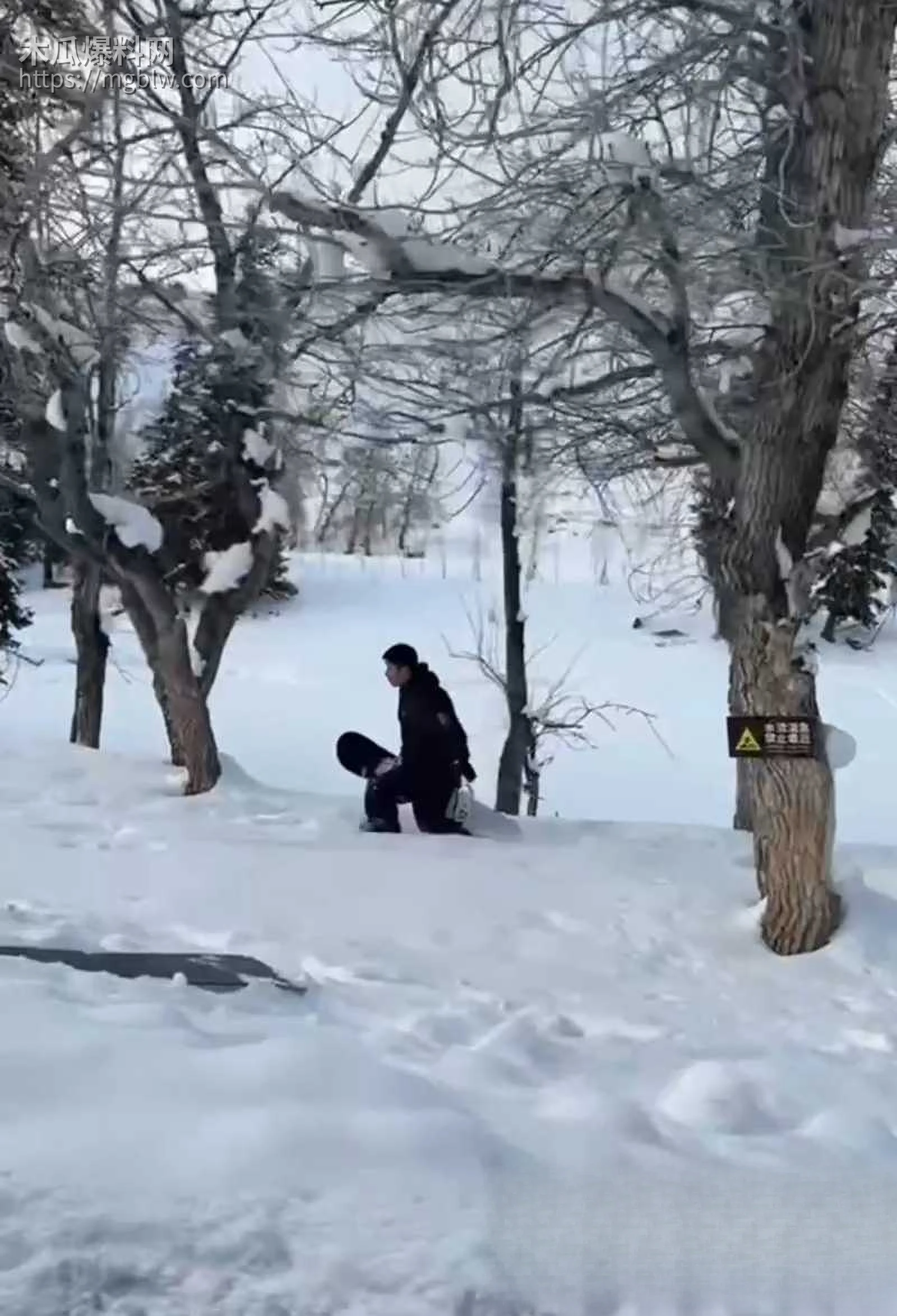 可可托海雪豹咬人视频曝光 5 拷贝