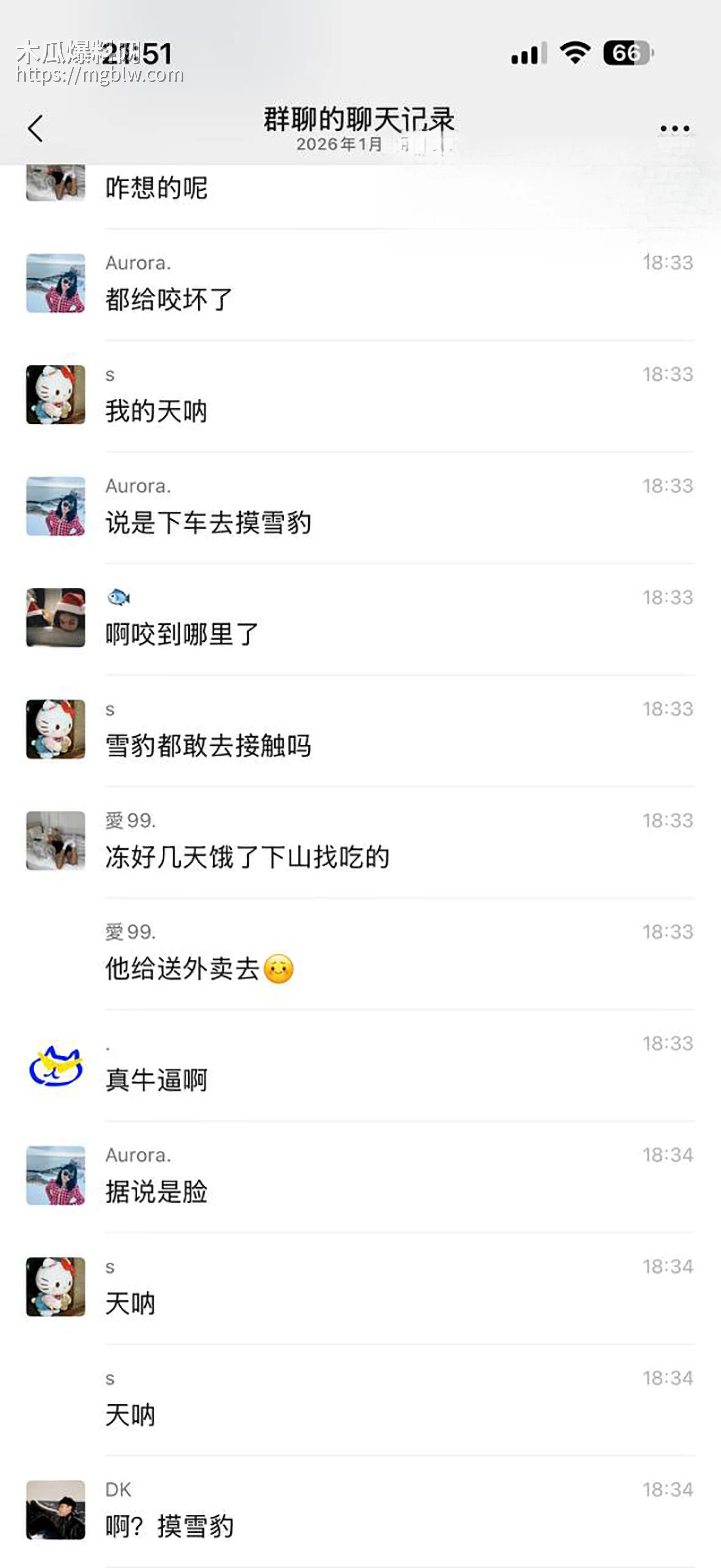 可可托海雪豹咬人视频曝光 10 拷贝