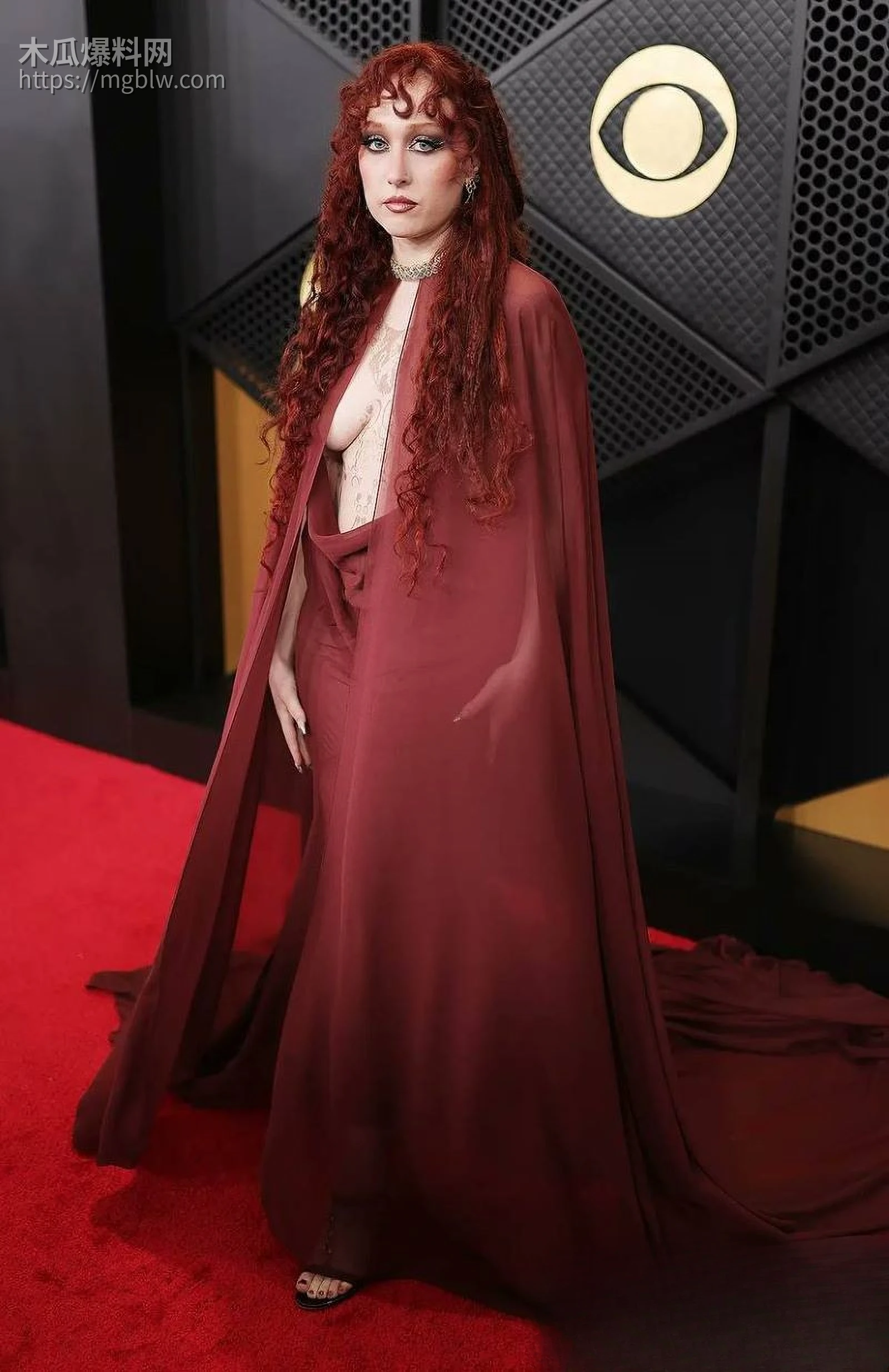 美国歌手查佩尔·罗恩格莱美红毯炸场 1