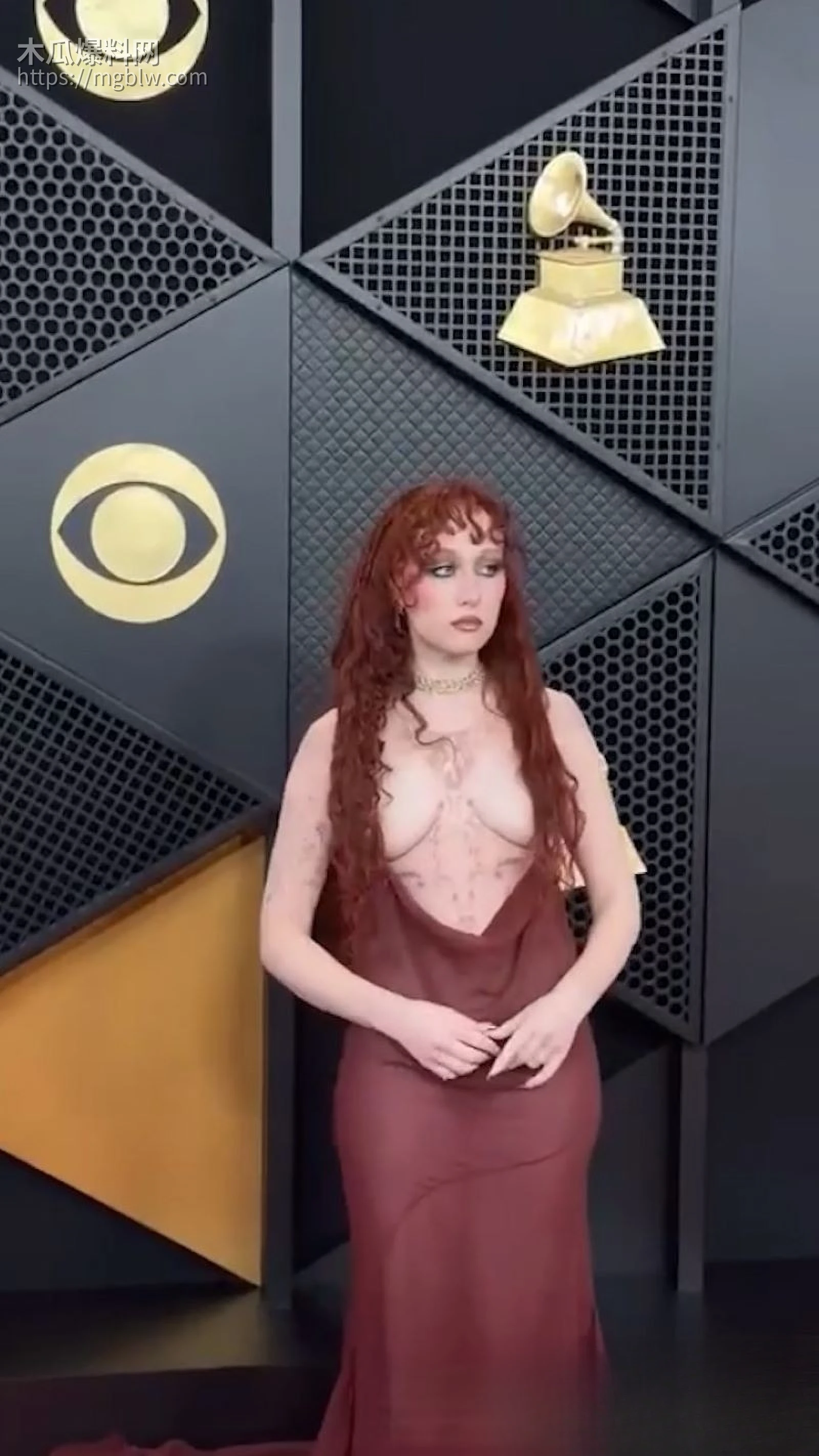 美国歌手查佩尔·罗恩格莱美红毯炸场 5