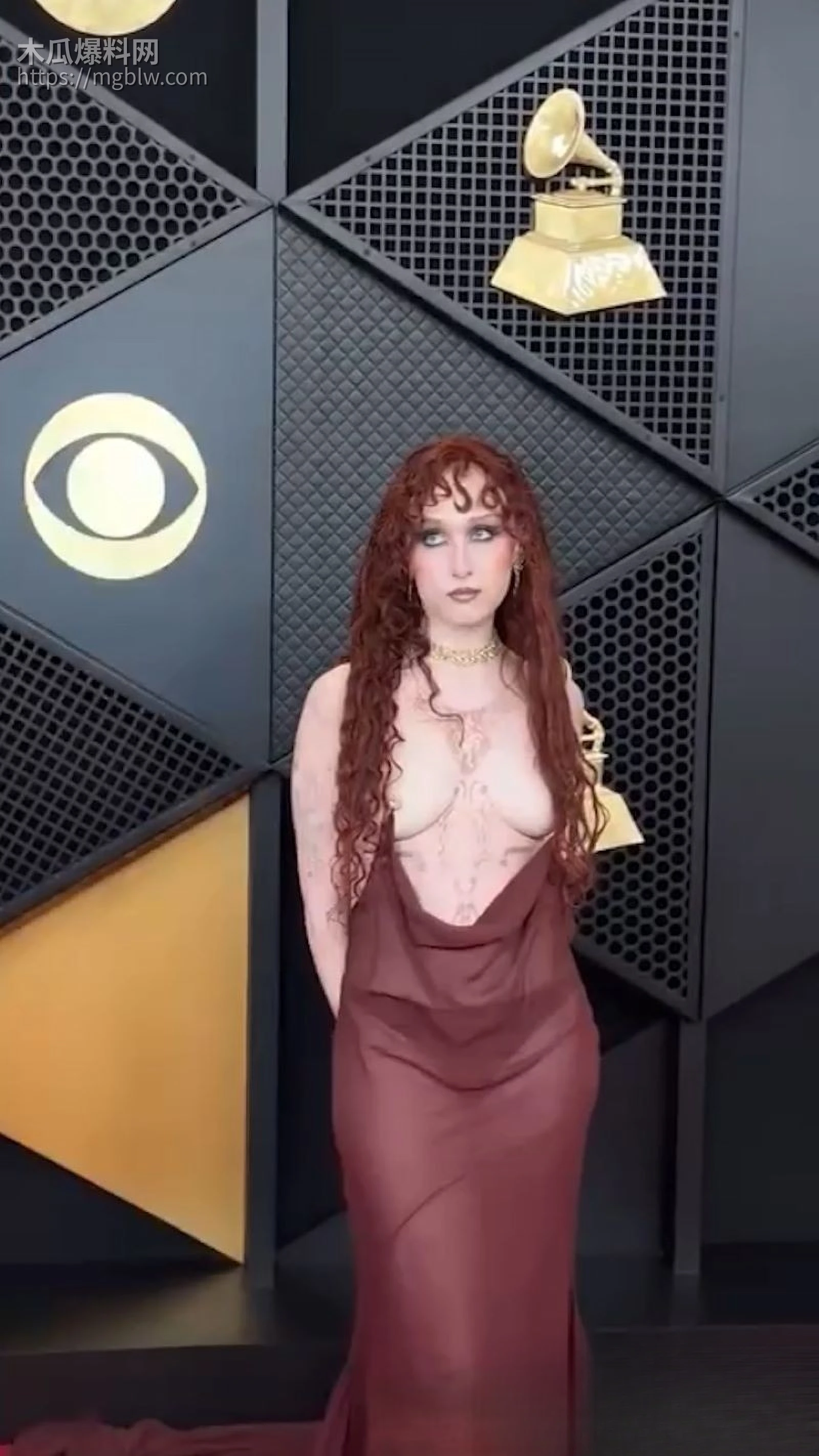 美国歌手查佩尔·罗恩格莱美红毯炸场 6