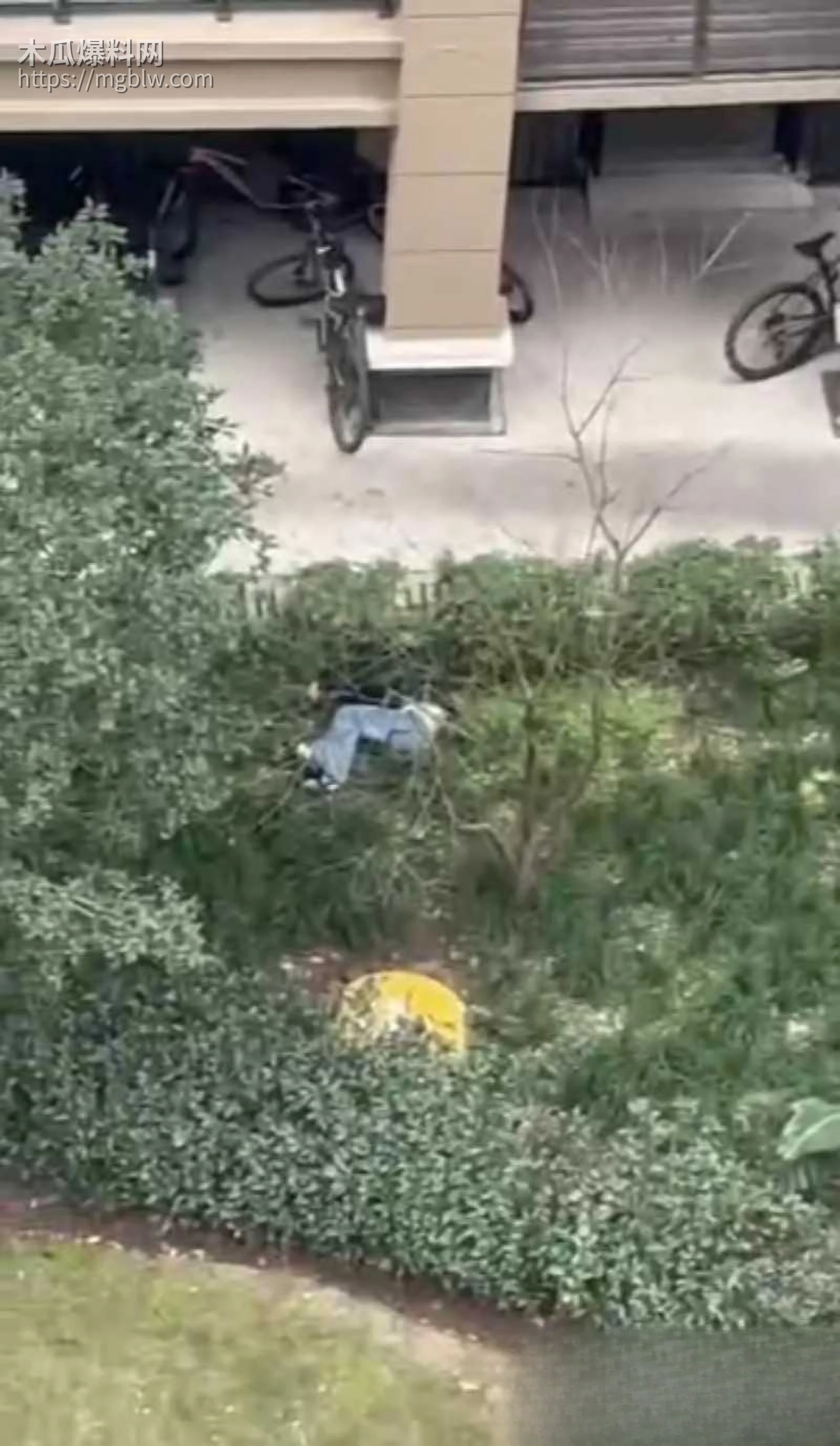 重庆中学生和平精英跳楼事件04