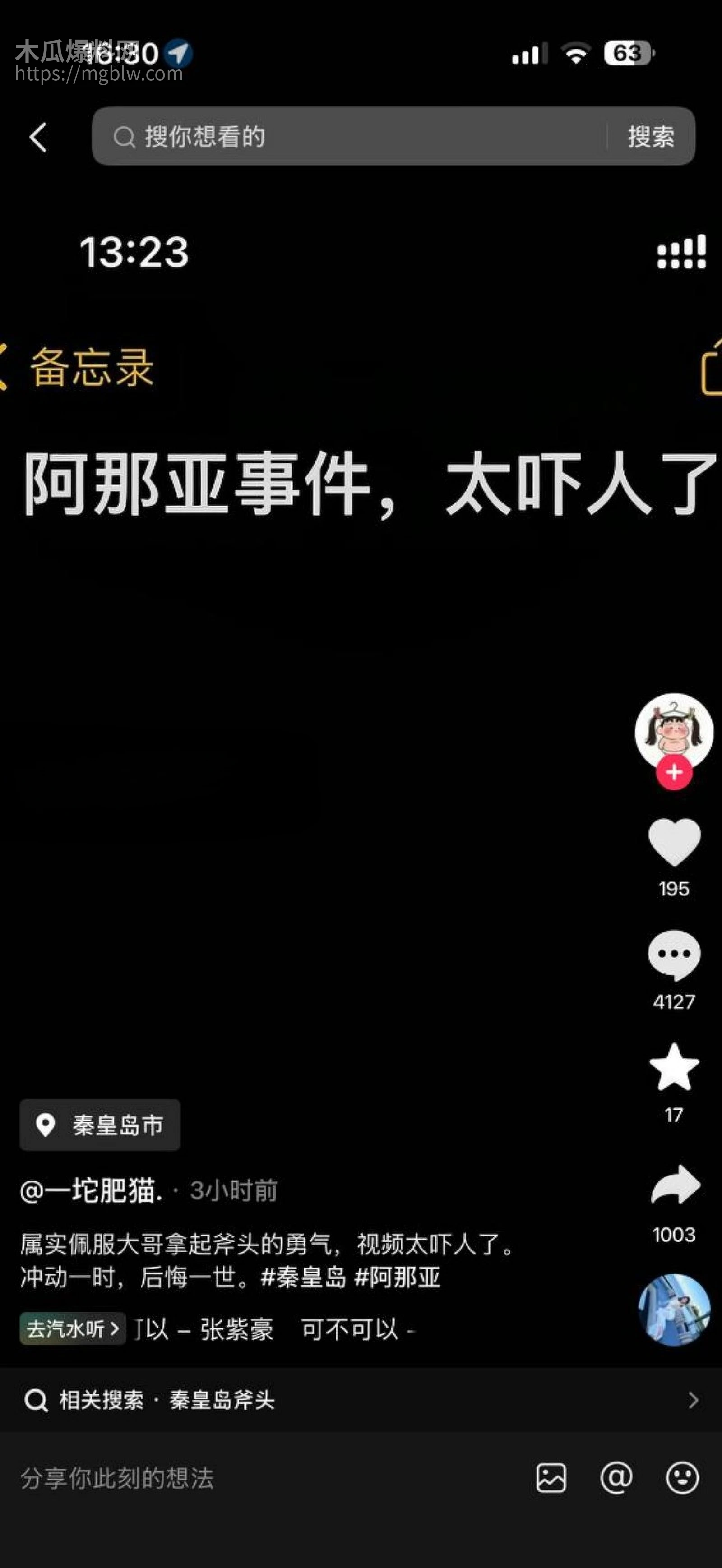 秦皇岛阿那亚斧头砍人事件02