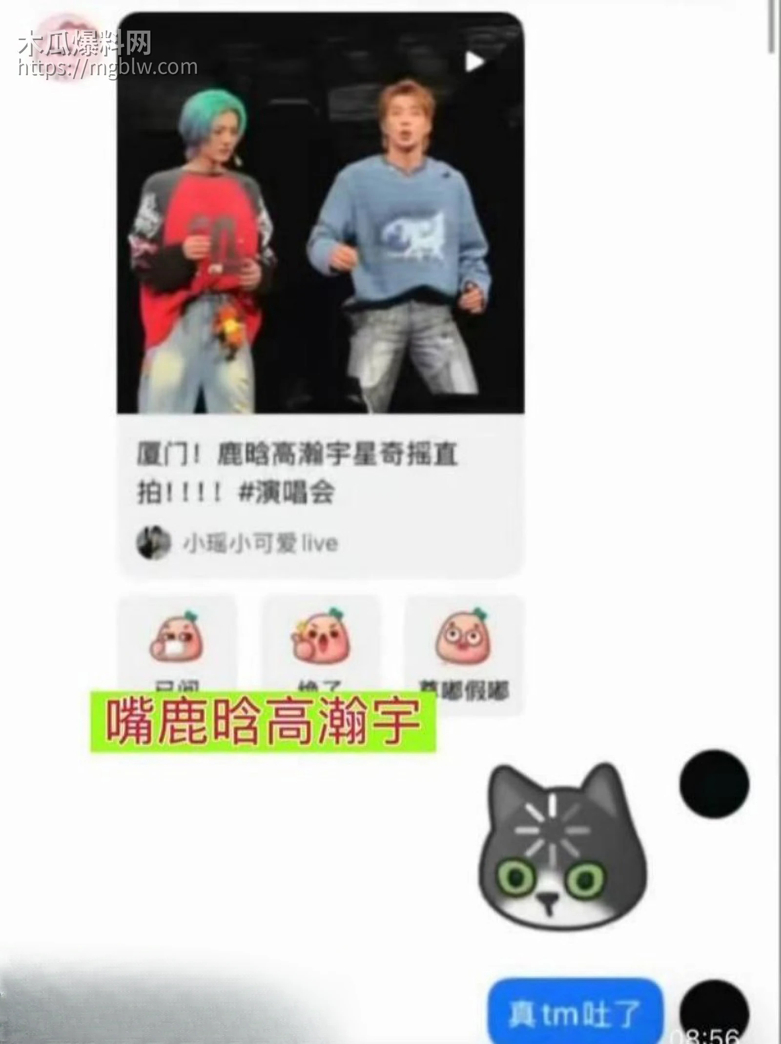 王一博被李思瑾造谣聊天记录事件015