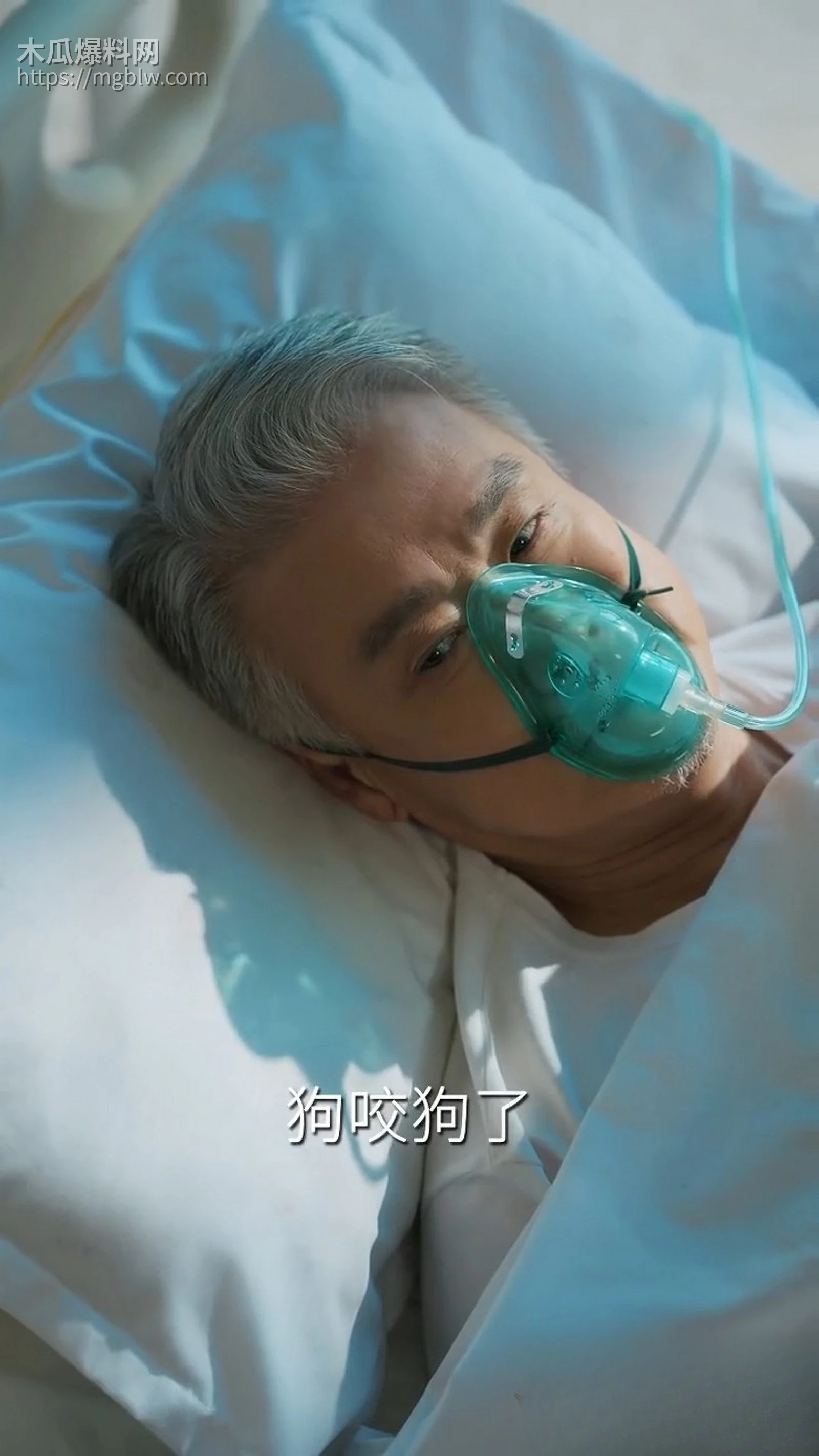 热播短剧炽爱危局全集 6