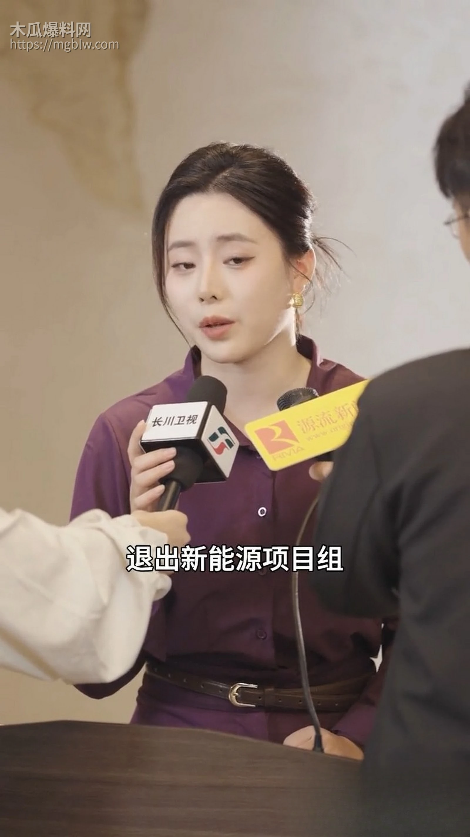 热播短剧炽热燃情全集 6