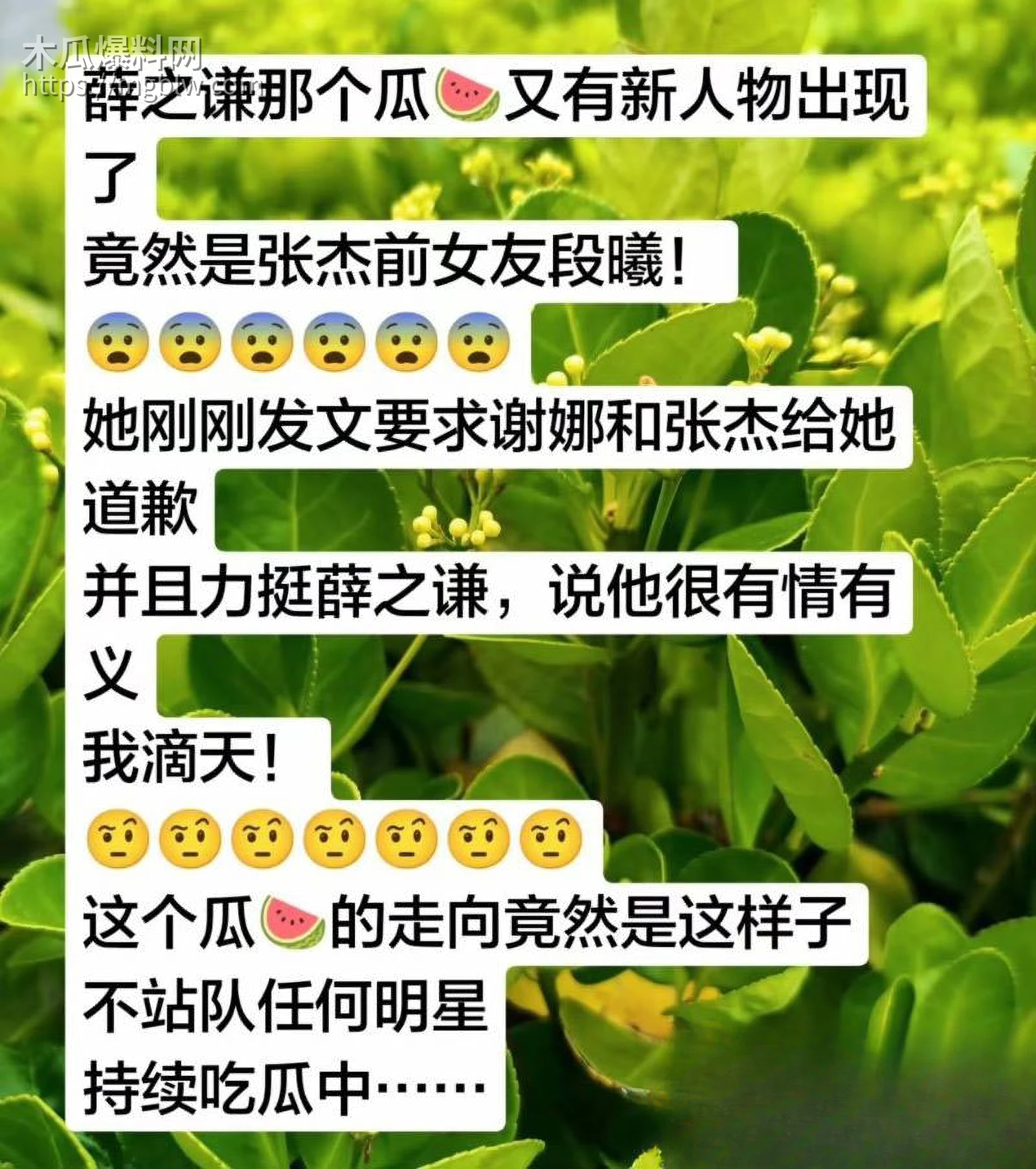 张杰前女友段曦被出轨事件 19