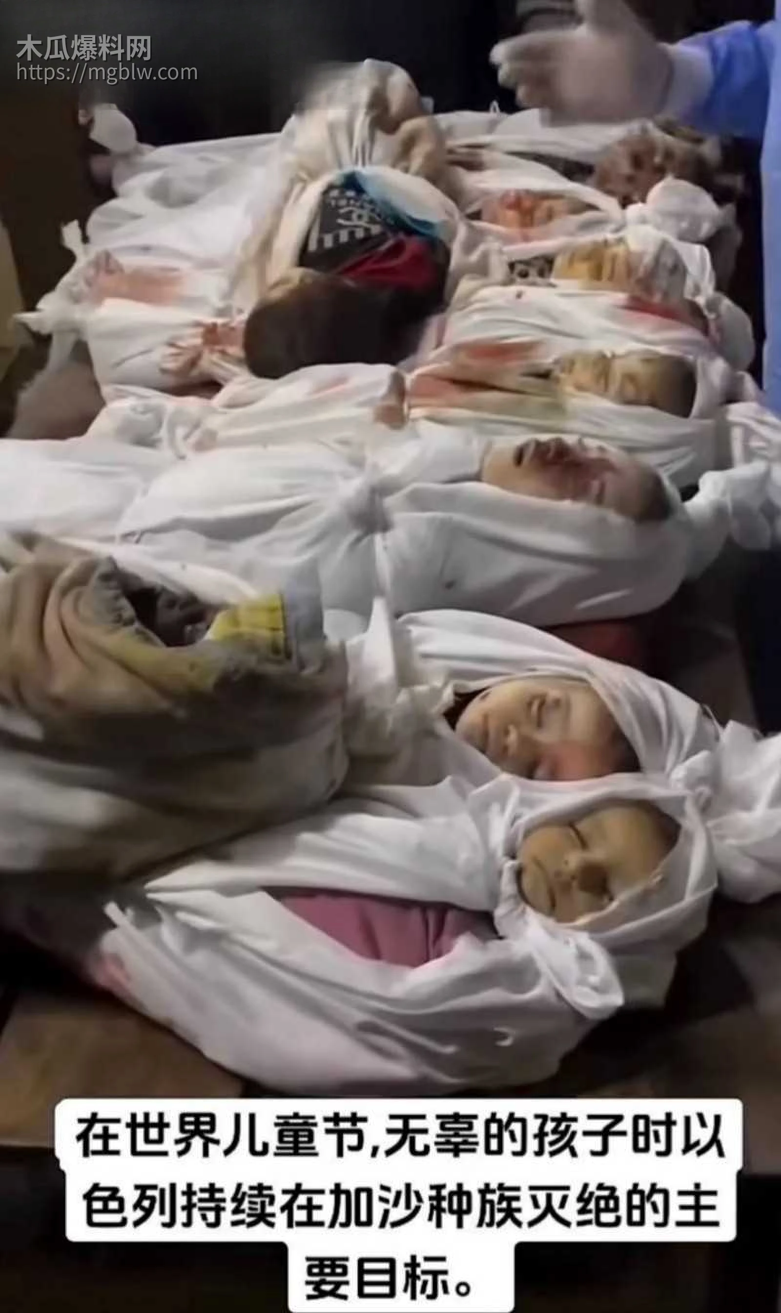 以伊冲突165名学生遇难012