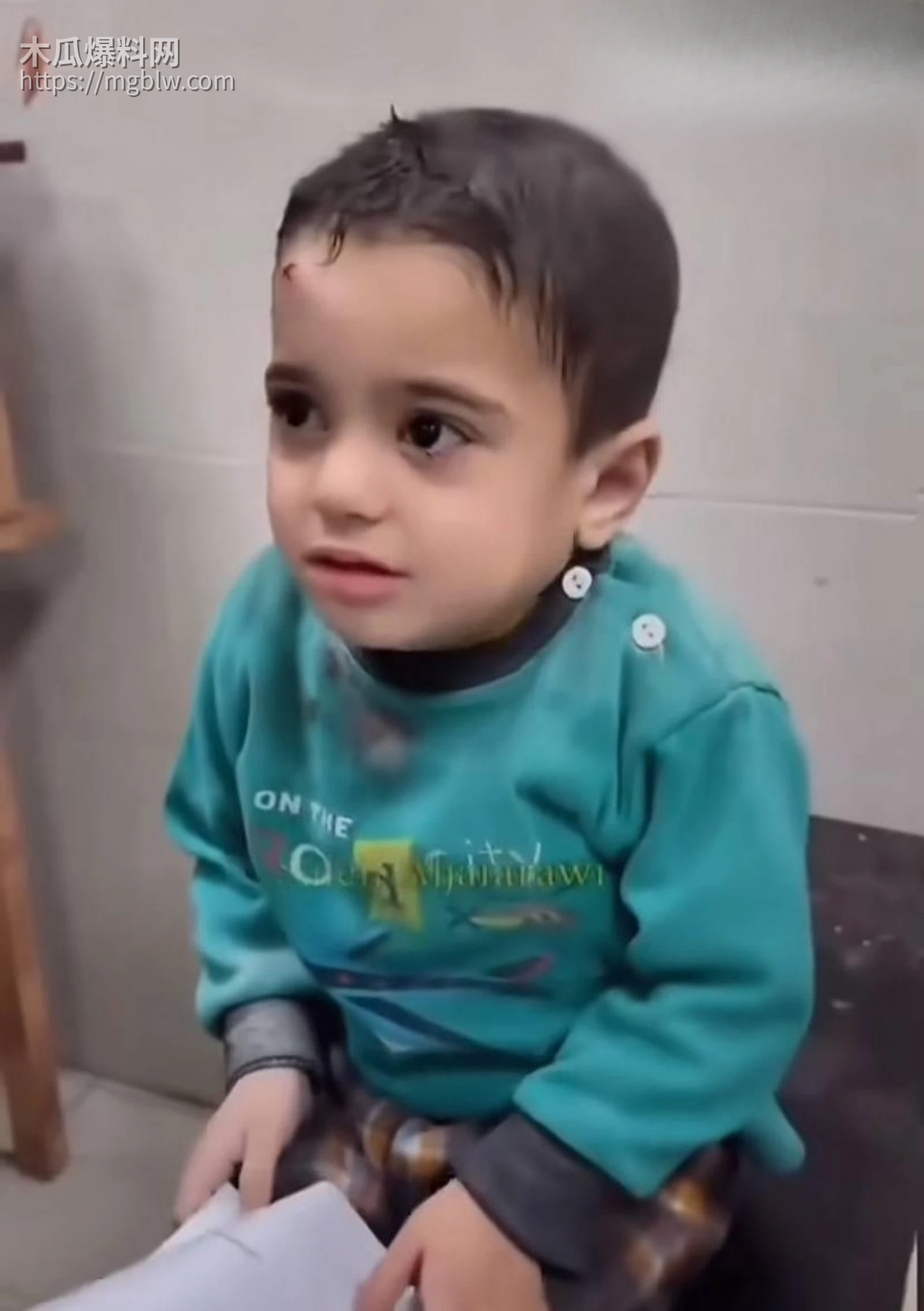 以伊冲突165名学生遇难016