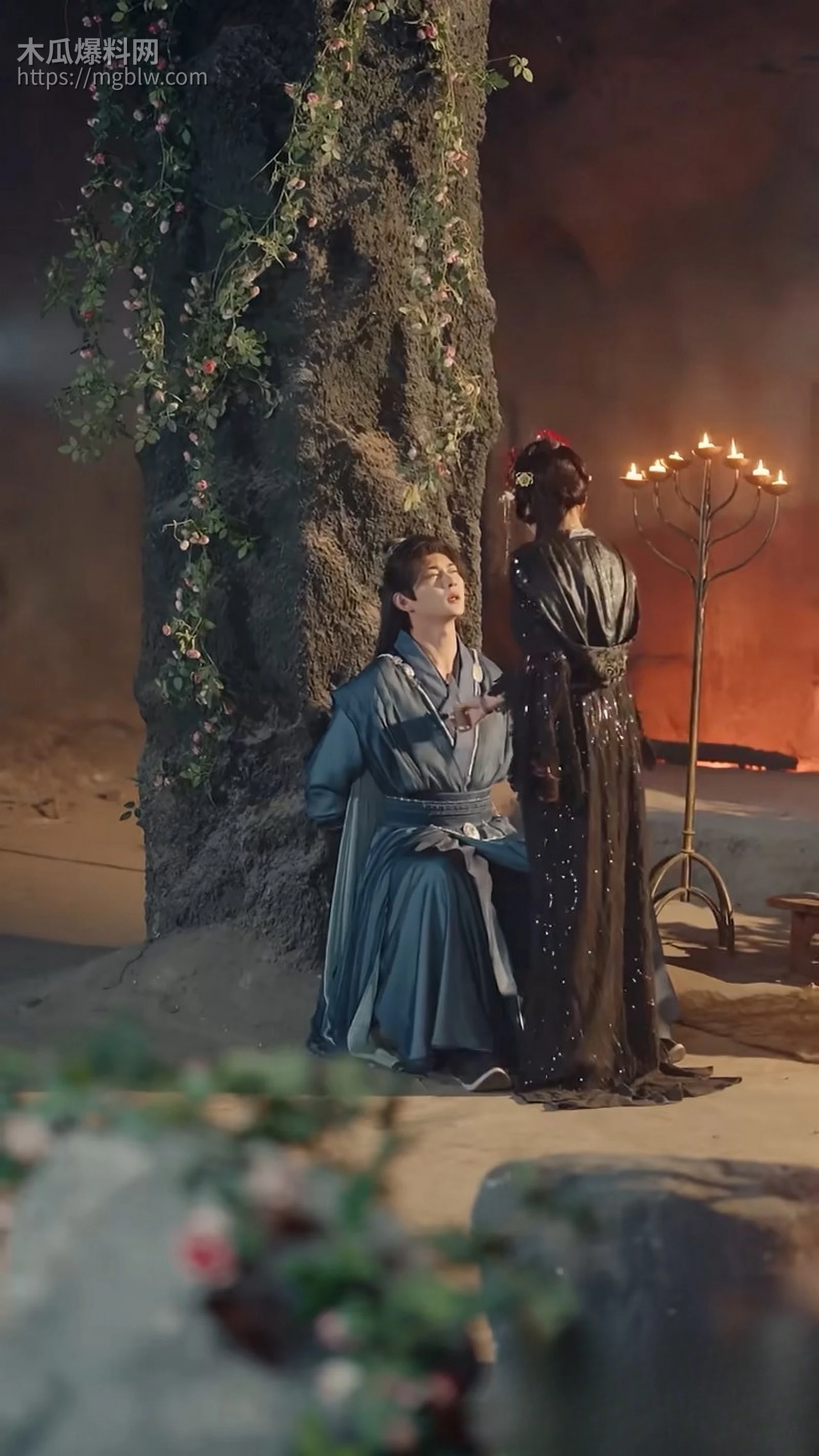 擦边短剧我的红颜遍天下全集 5