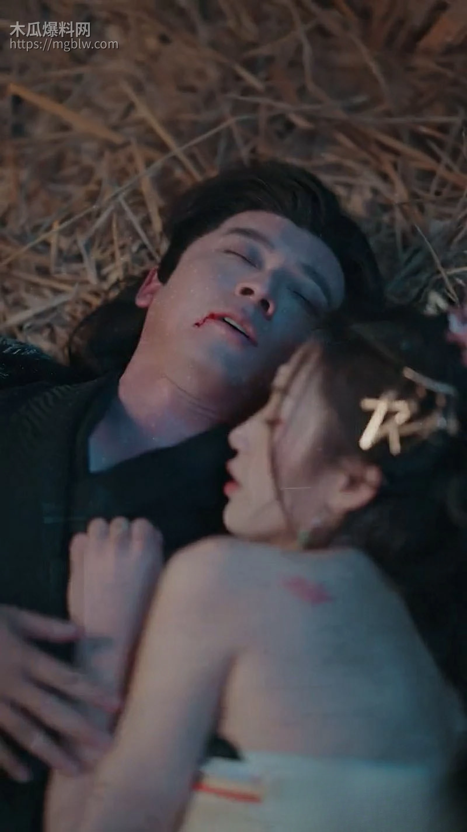 擦边短剧我隐居东宫太子妃她夜夜登门全集 1