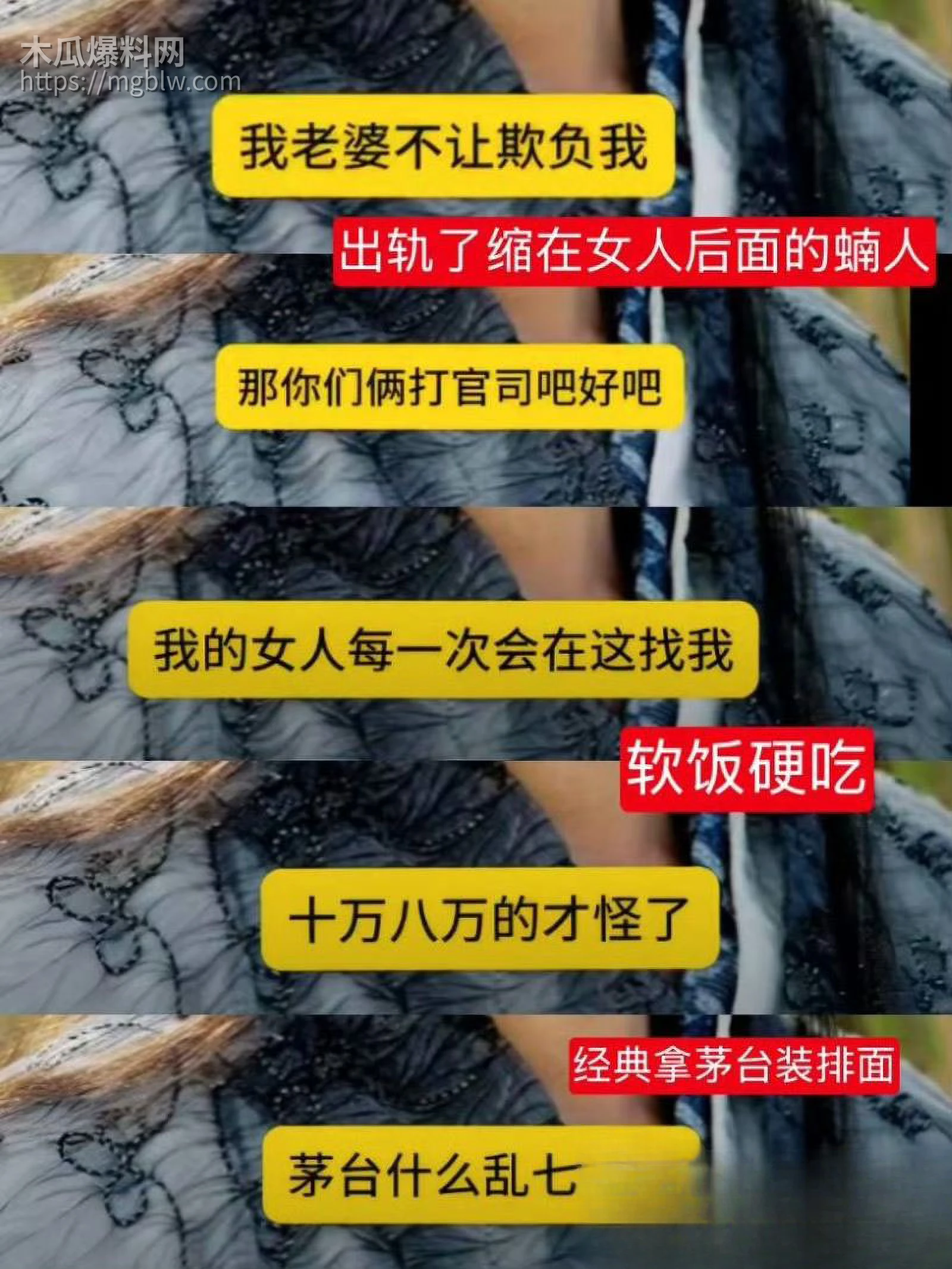 天龙八部慕容复修庆14分钟录音流出 13