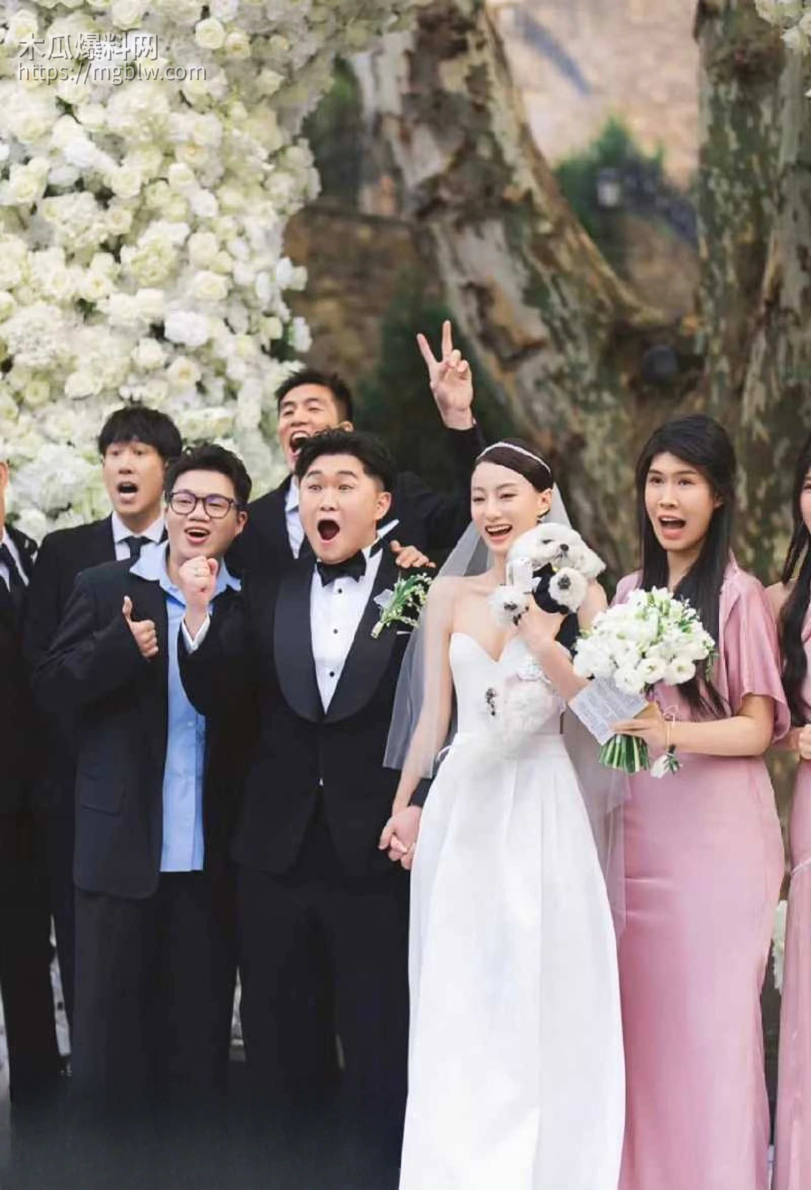 千万大V张百乔家暴视频被扒 13 拷贝