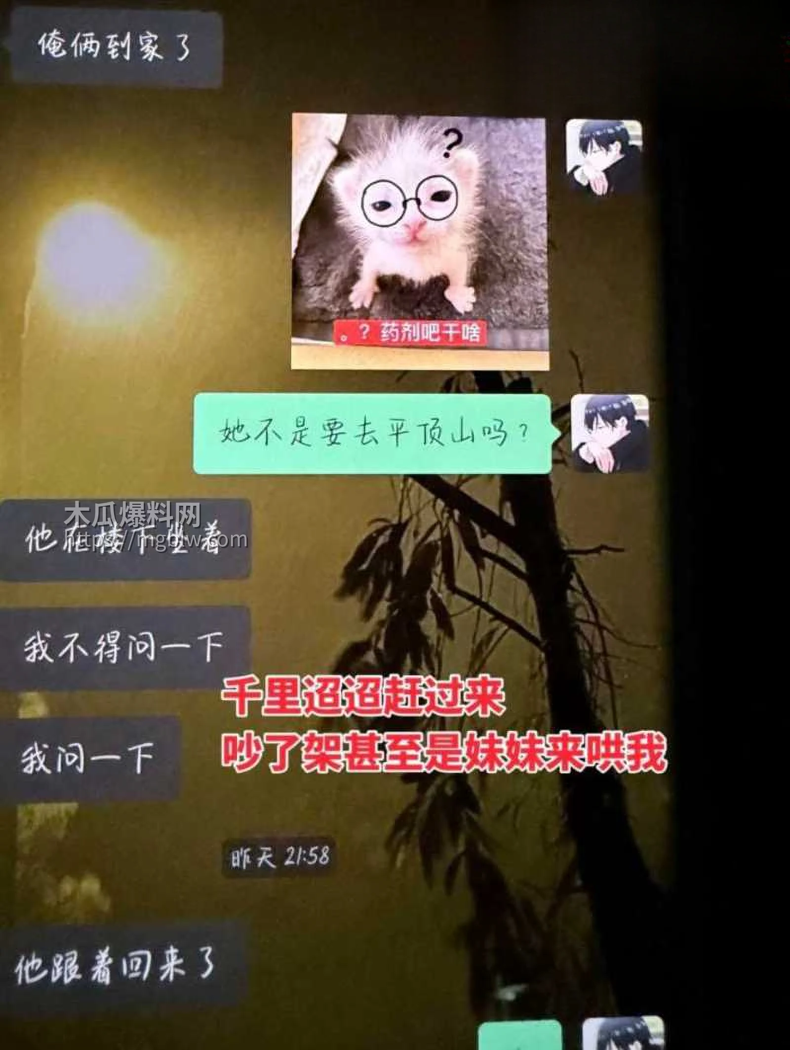 上海渣男王景天 13