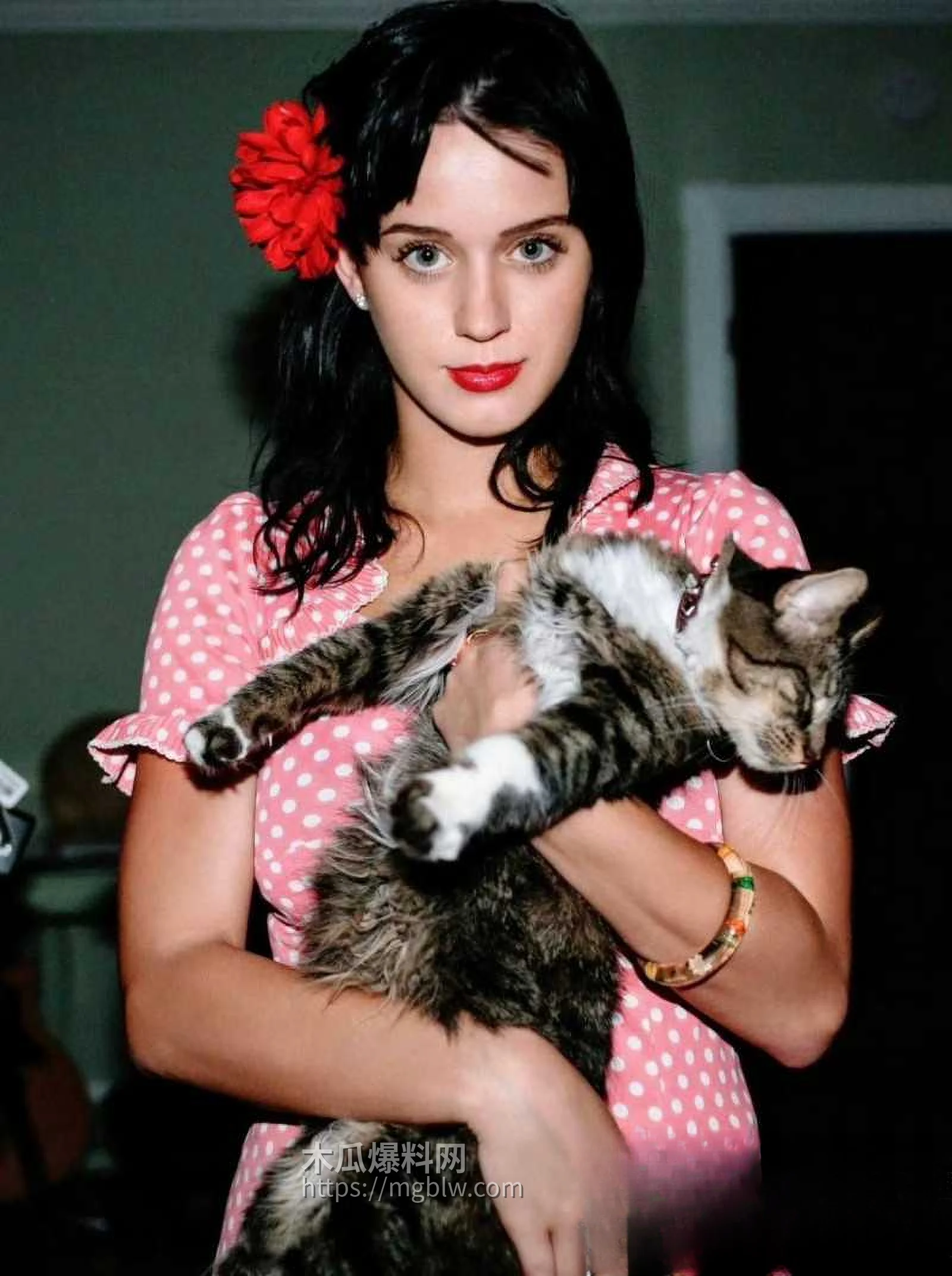 好莱坞女星鲁比罗丝被水果姐性侵事件04