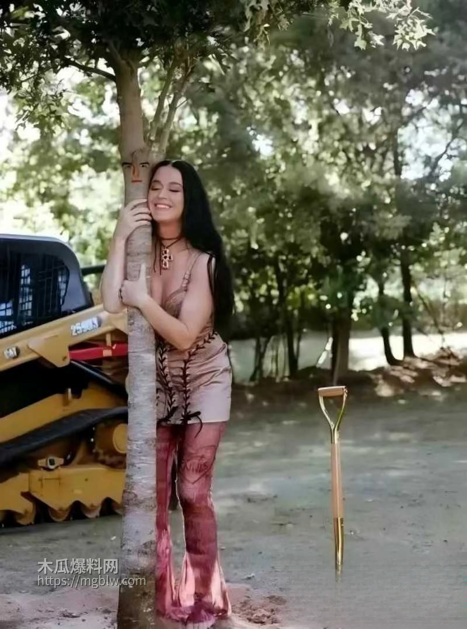 好莱坞女星鲁比罗丝被水果姐性侵事件07