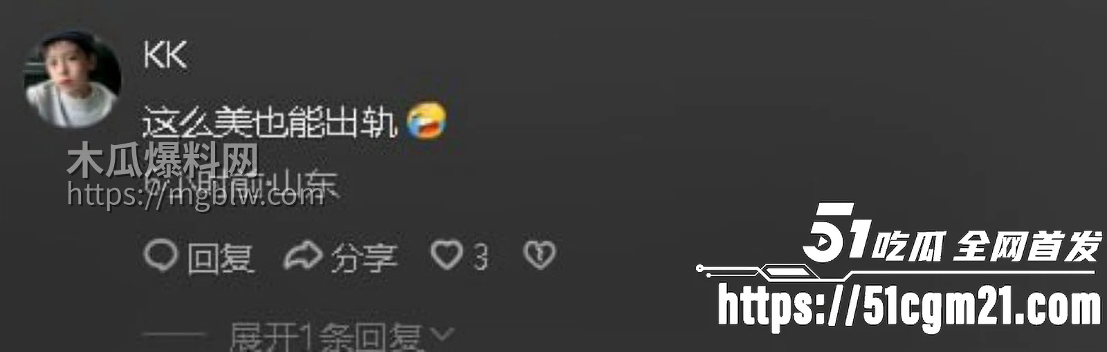 山东泰山科技学院PPT大瓜0 22