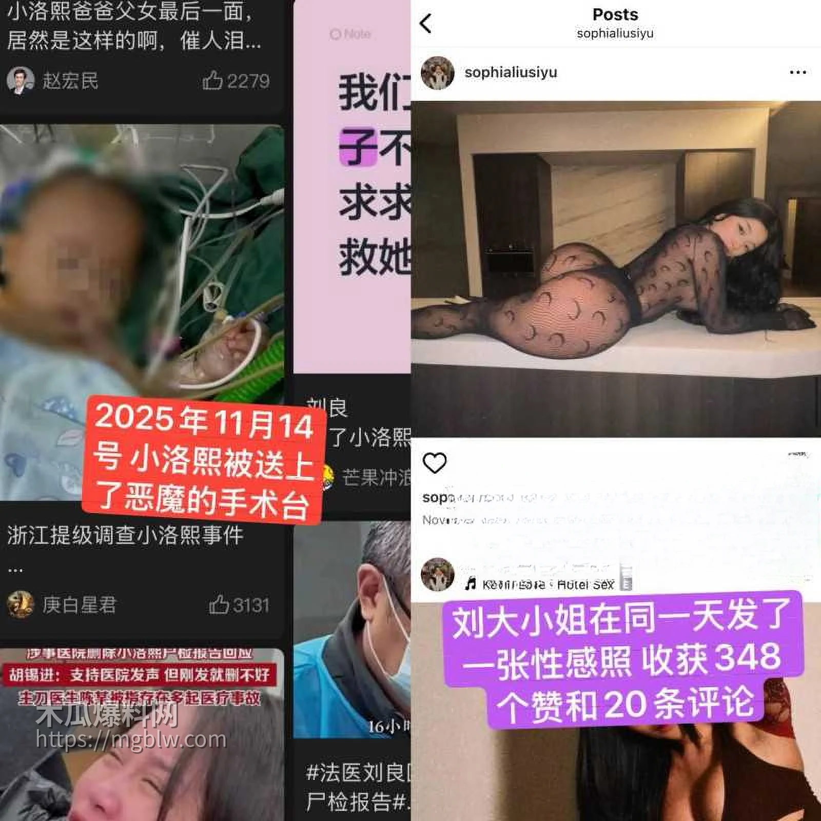 抖音网红小洛熙妈妈医疗事故后续018