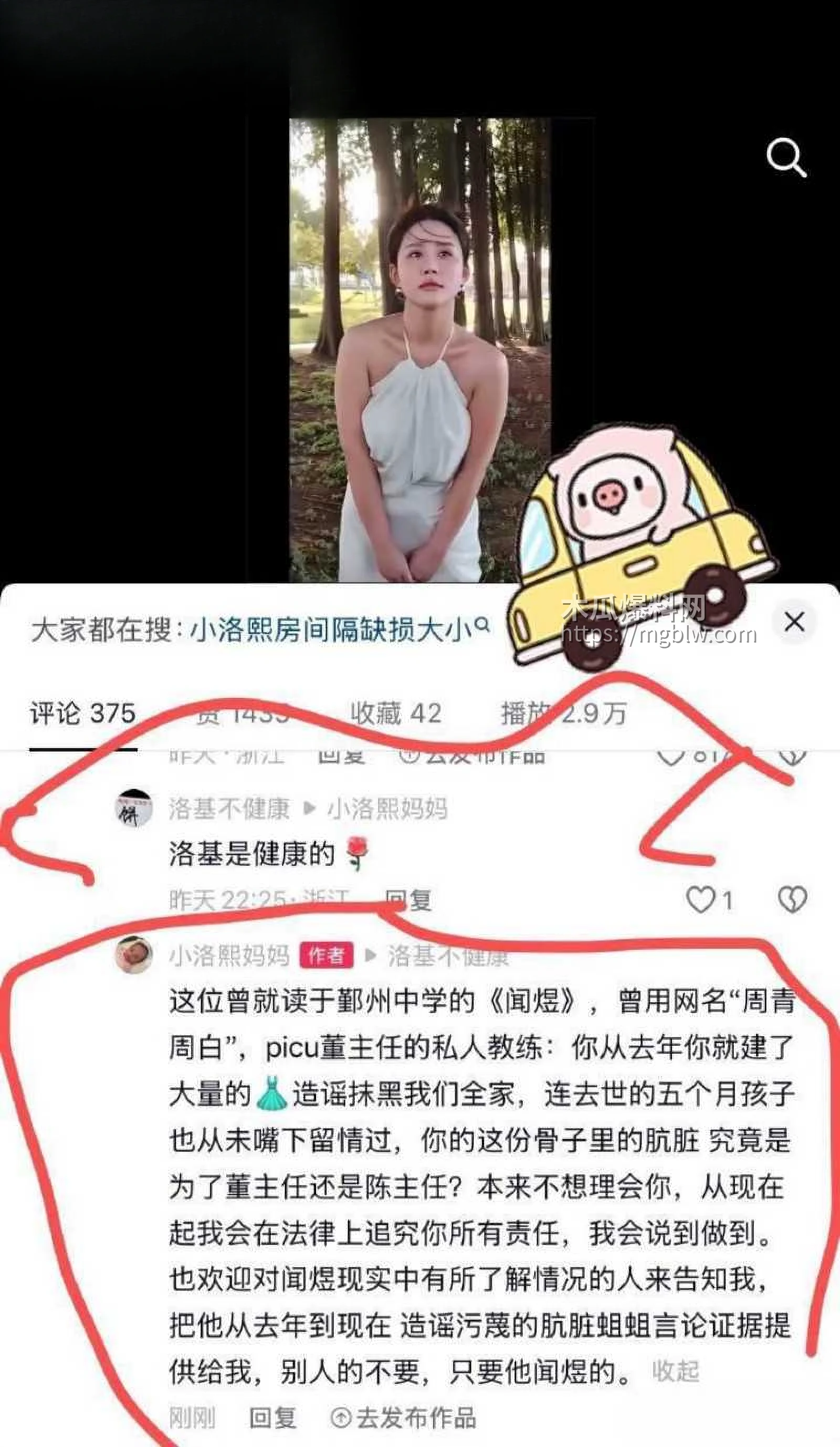 抖音网红小洛熙妈妈医疗事故后续028