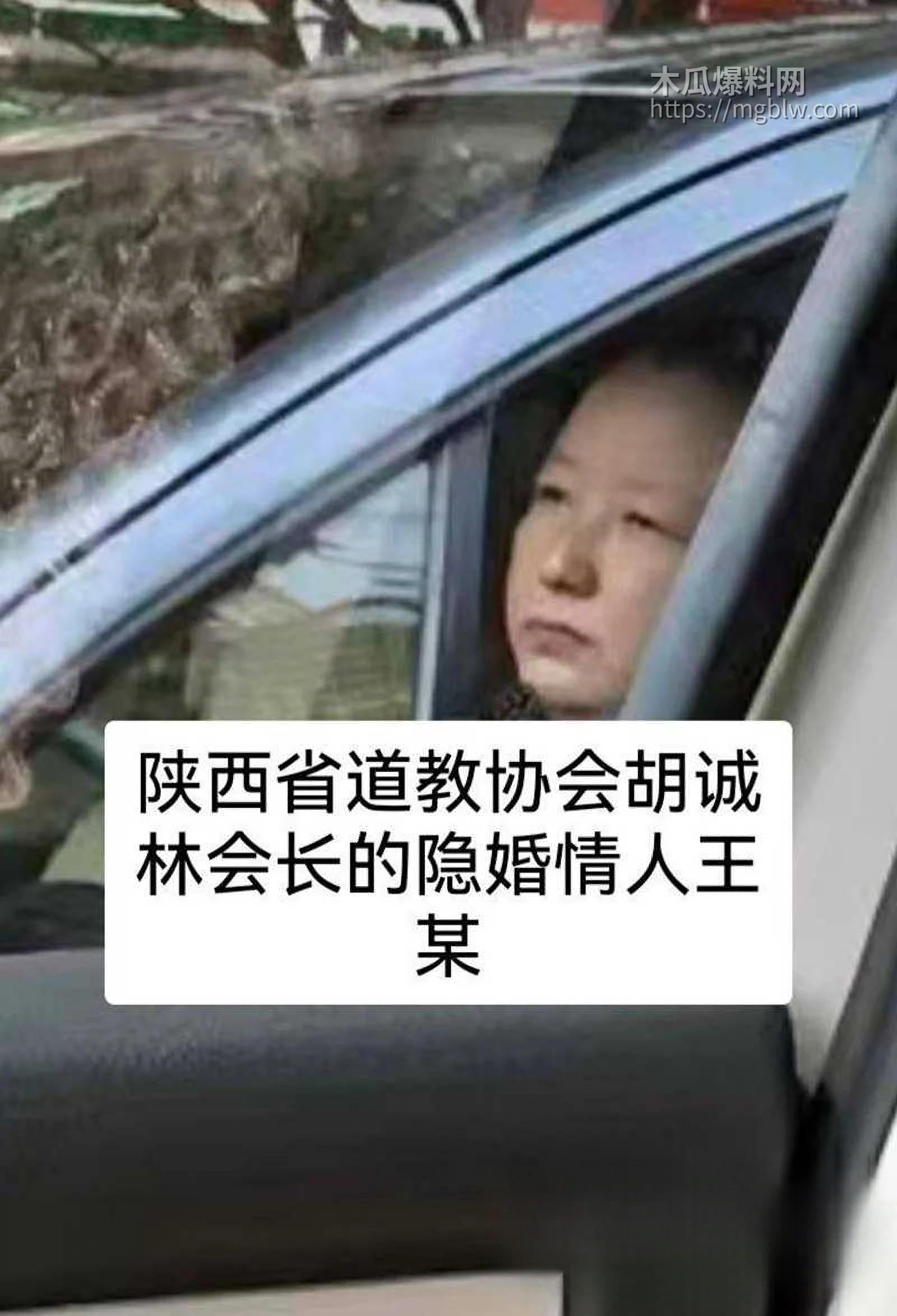 中国道教协会副会长胡诚林被实名举报17拷贝