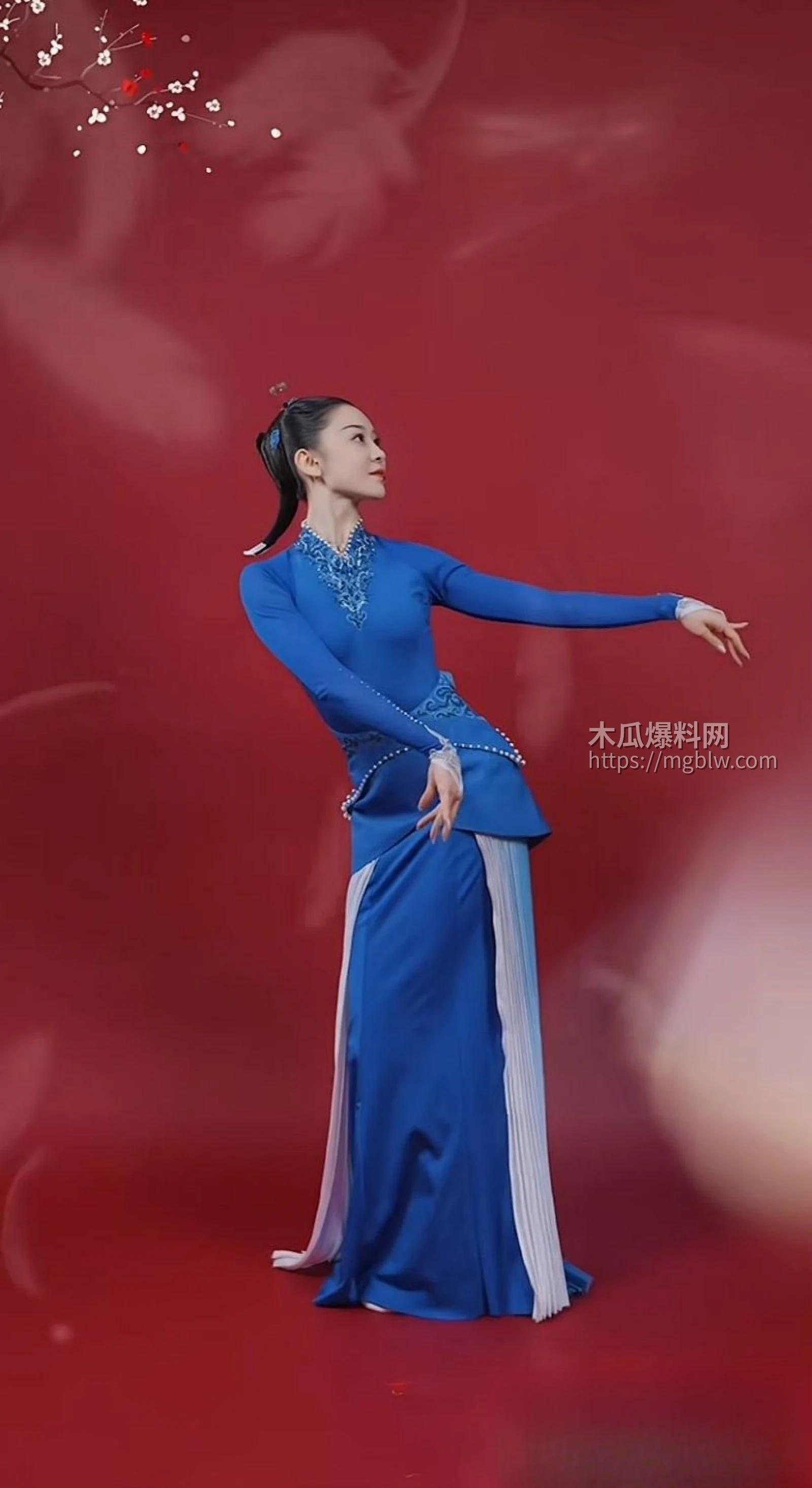 张寓帅小三花三三出轨事件019