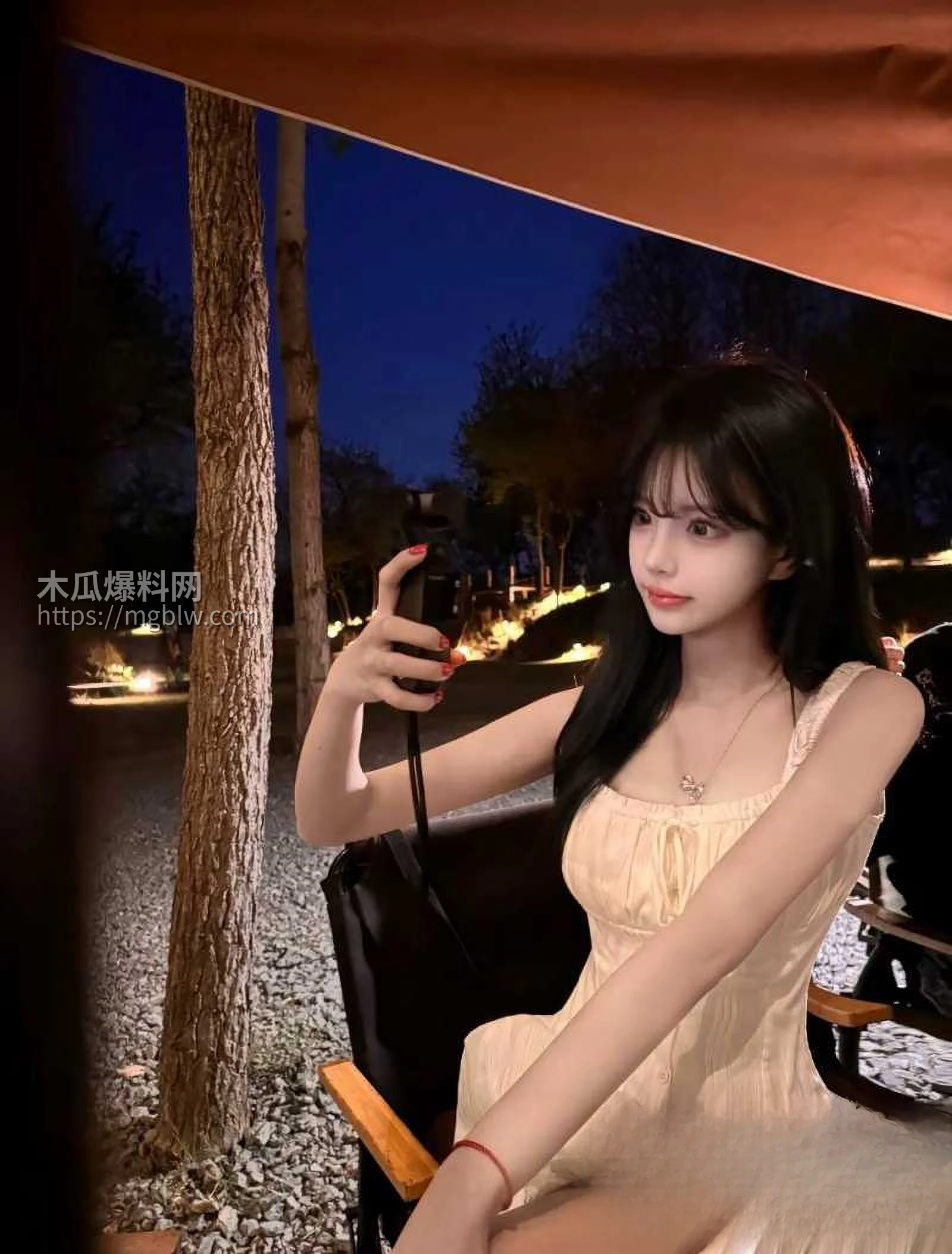 抖音网红莓猫饼2