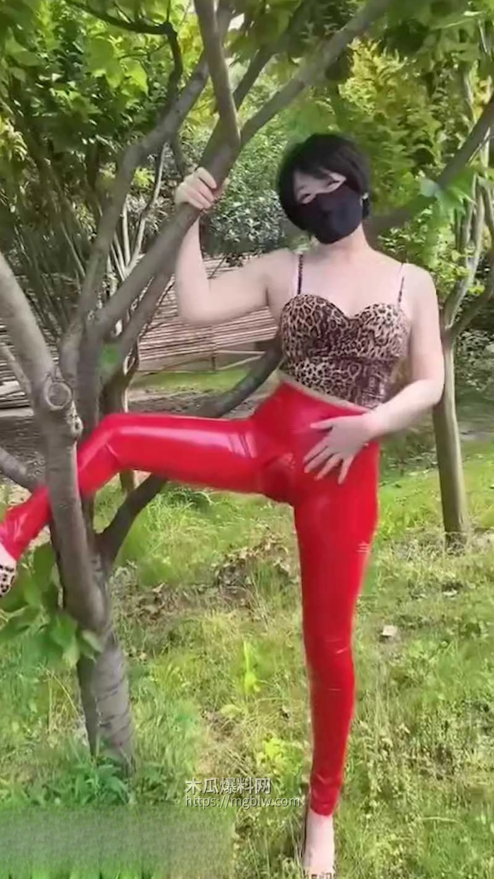 快手美少妇 热舞薇薇 定制福利  4